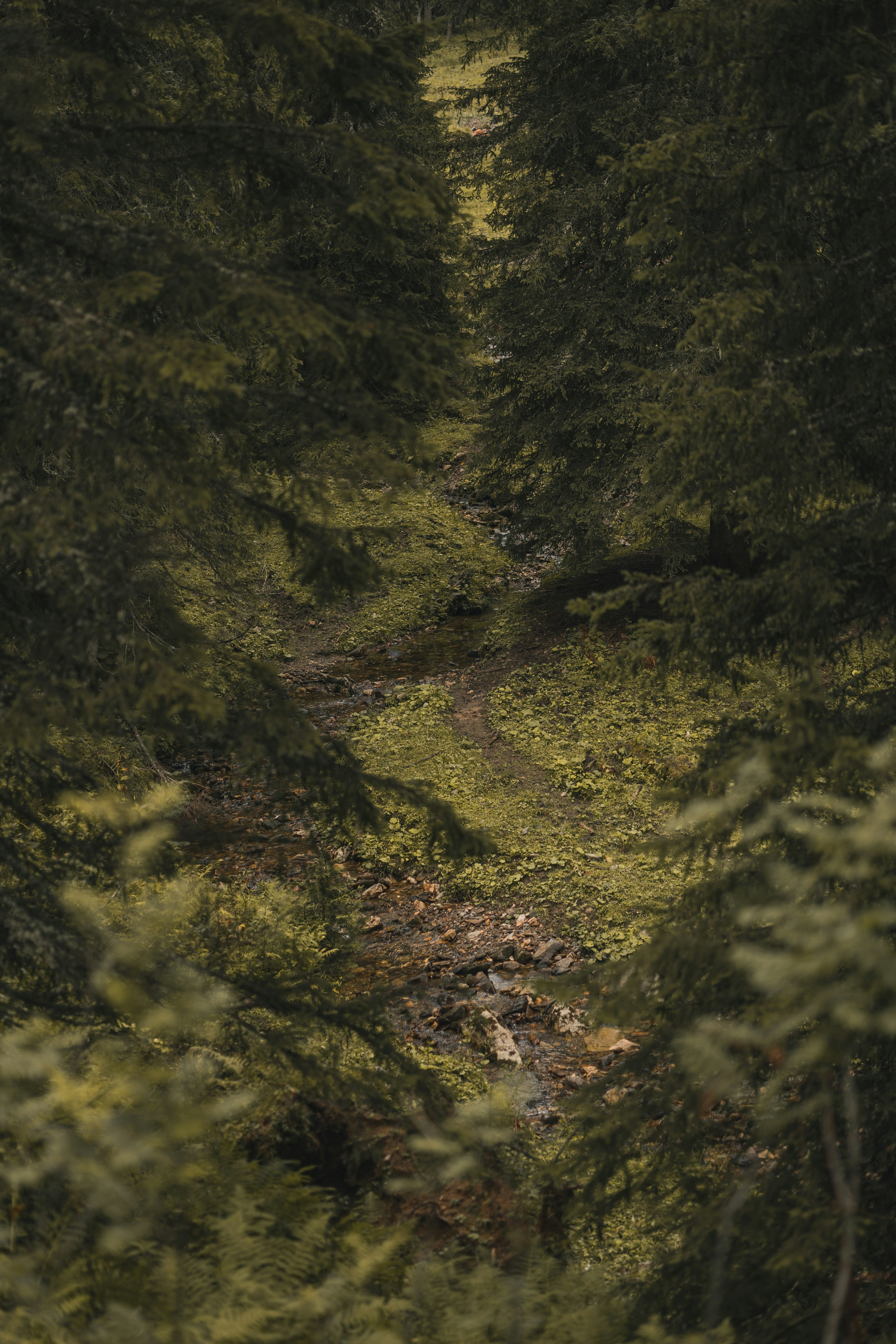 Photo by alex_gruber