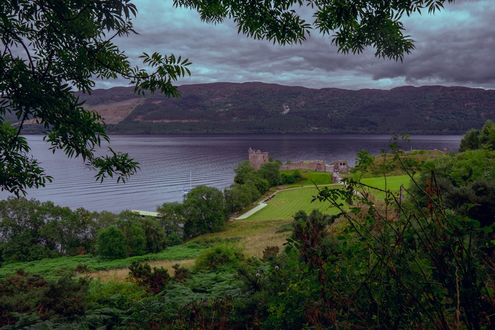 a landscape with trees and a body of water in the background