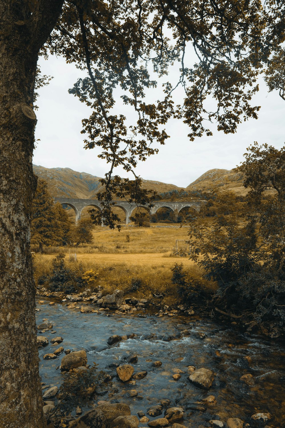 a river with a bridge over it