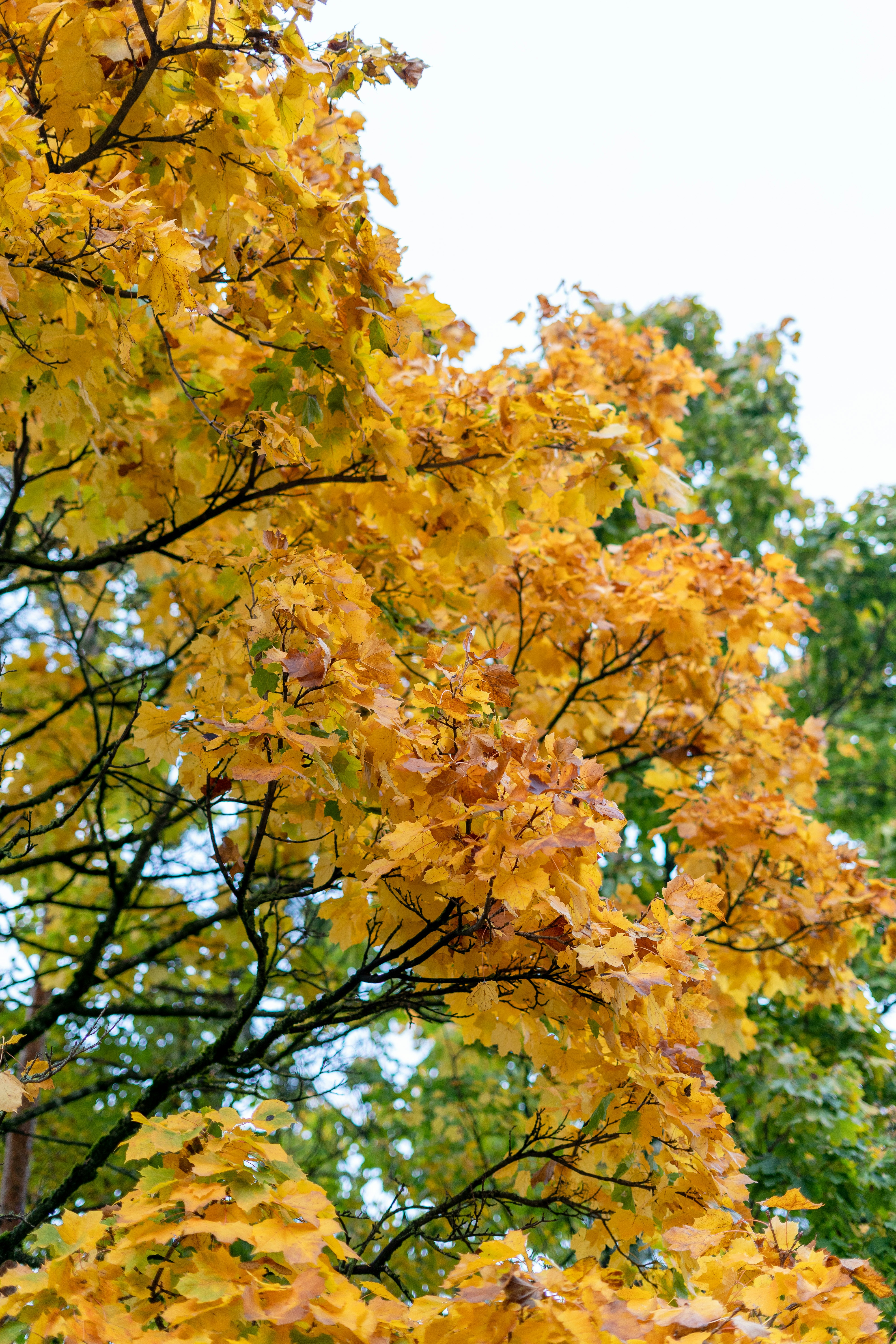 Photo by ldrgdnho