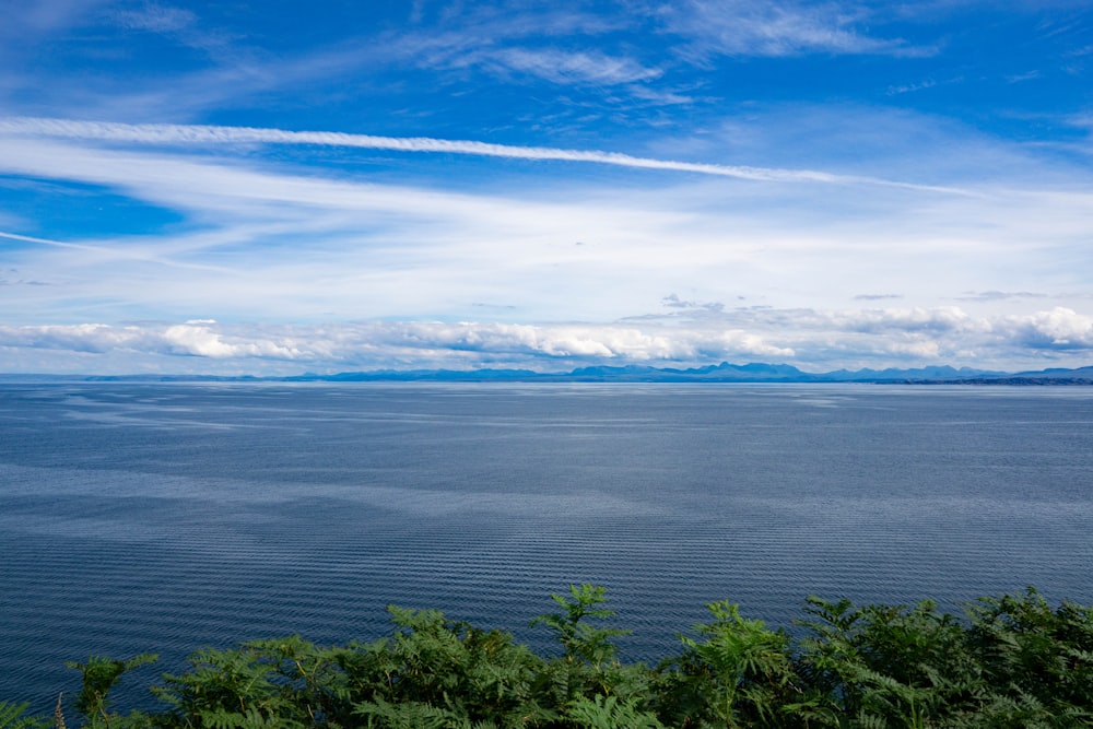 a body of water with trees around it