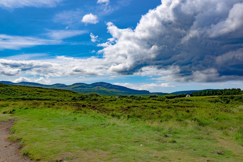 a grassy field with mountains in the background