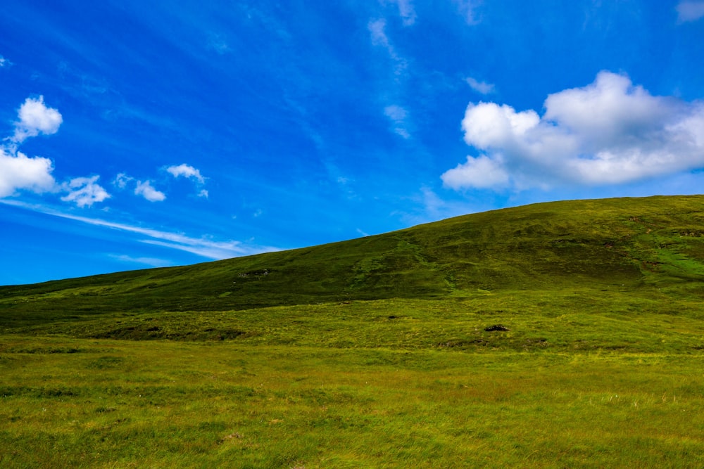 a grassy hill with a blue sky