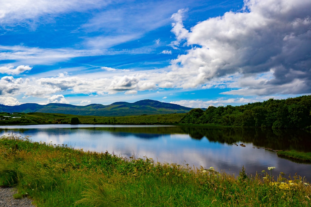 a lake surrounded by grass and trees