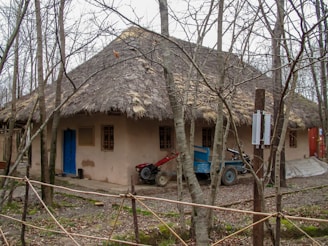 A traditional countryside house with a thatched roof is surrounded by leafless trees. The house has a bright blue door and small, wooden-framed windows. In front of the house, two small tractors or farm vehicles are visible, one red and one blue. The ground is covered with fallen leaves and there is a wooden fence in the foreground.