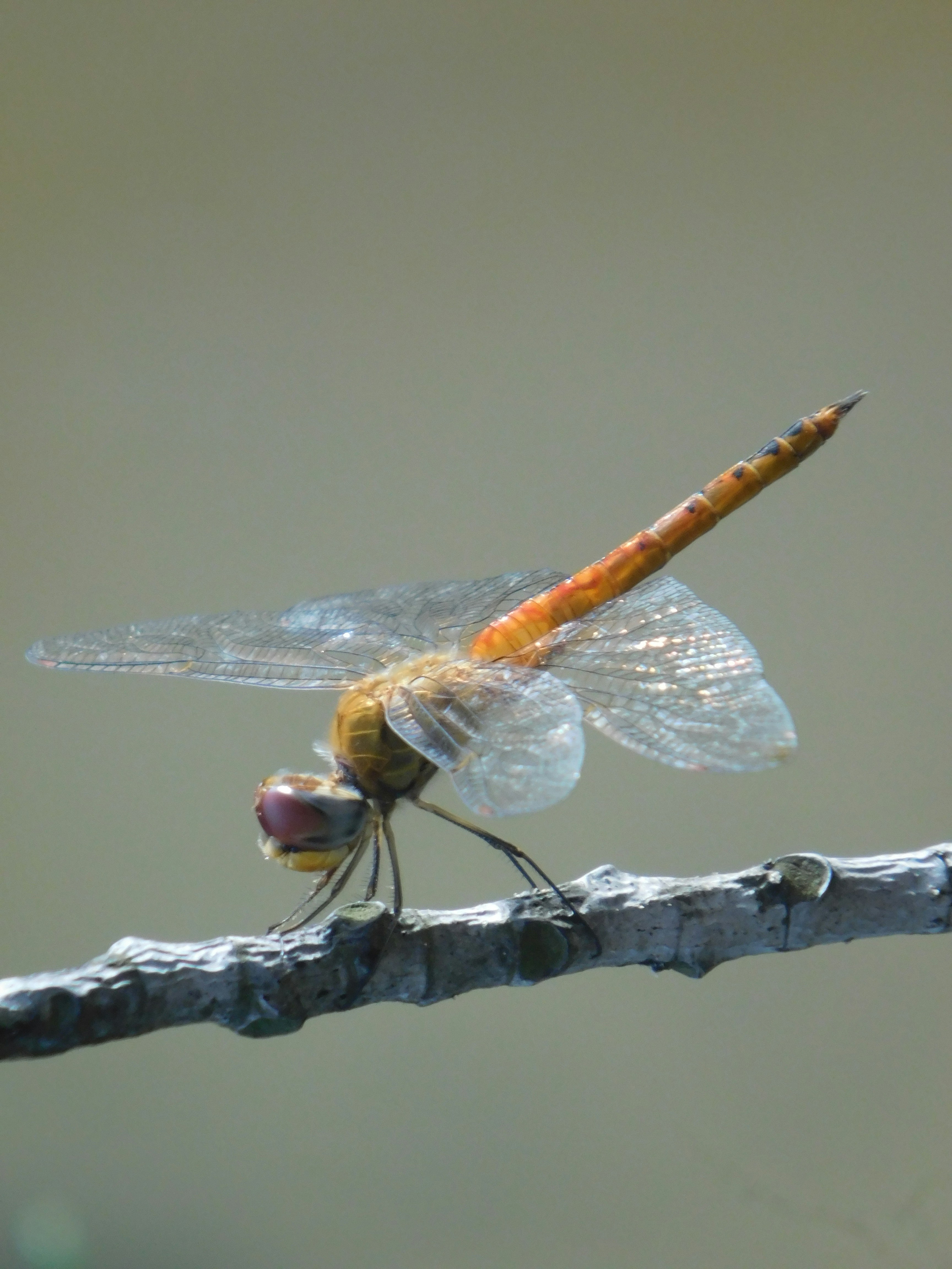 Photo by wrishi2004m