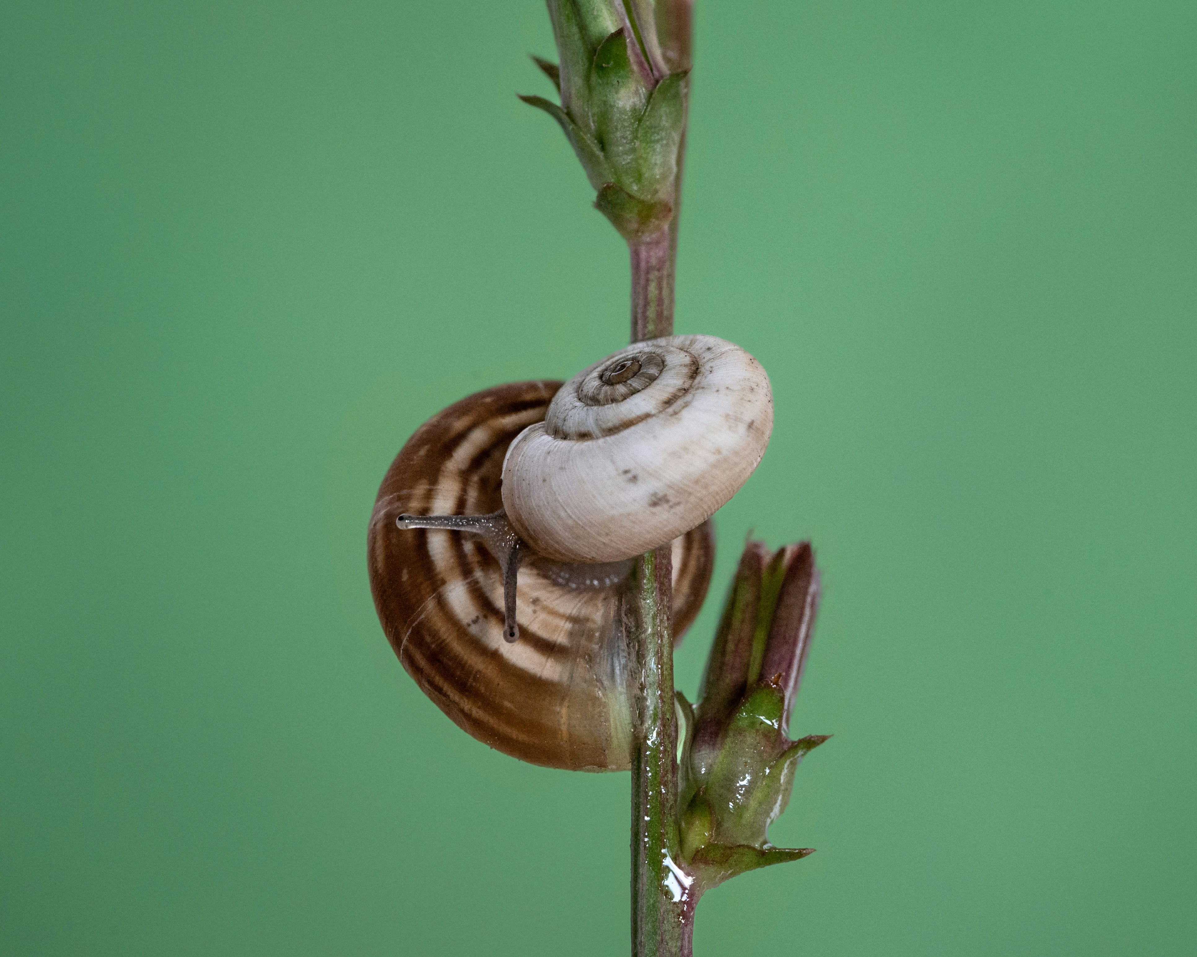 Photo by carrie_borden