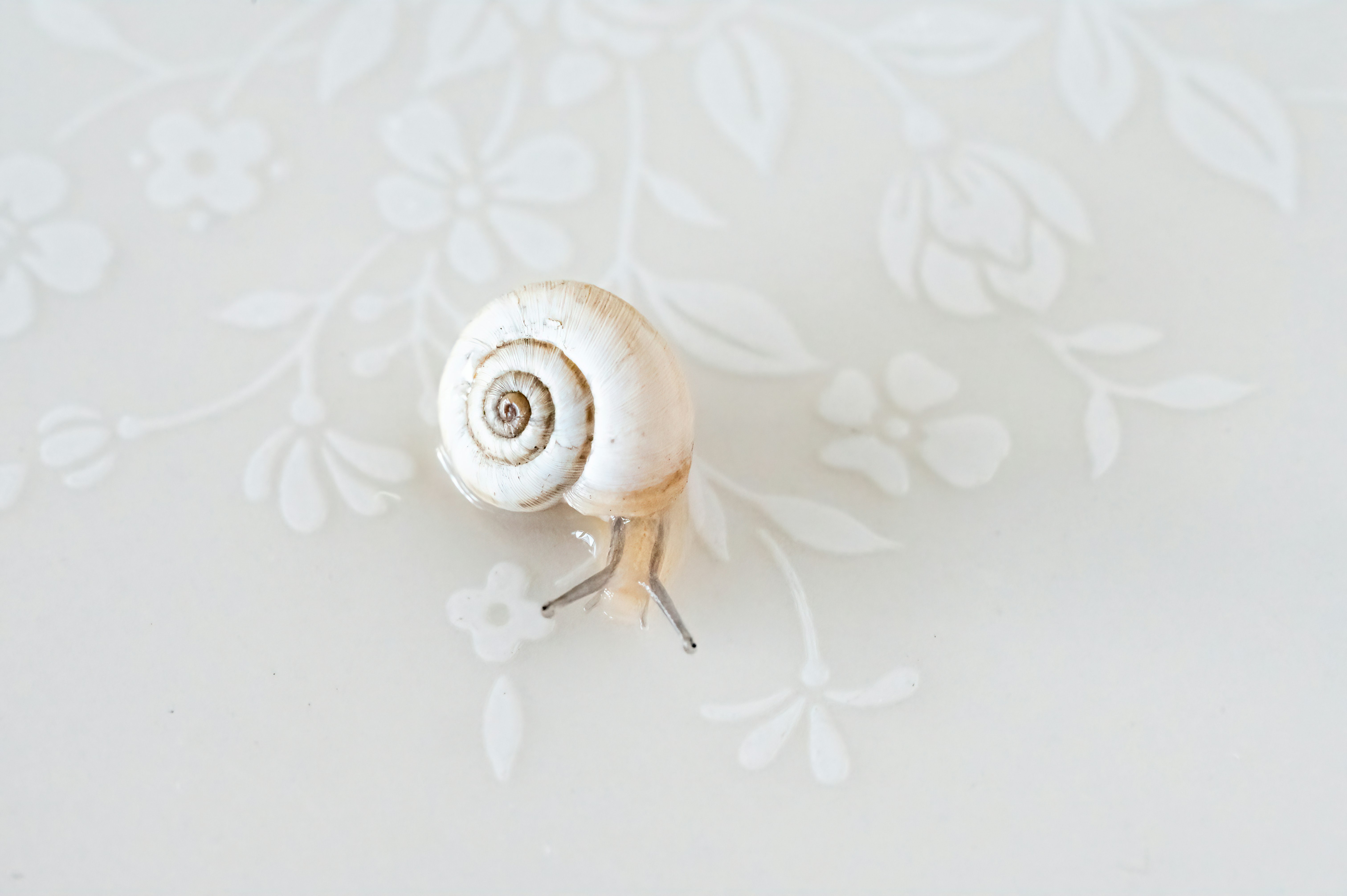 Photo by carrie_borden