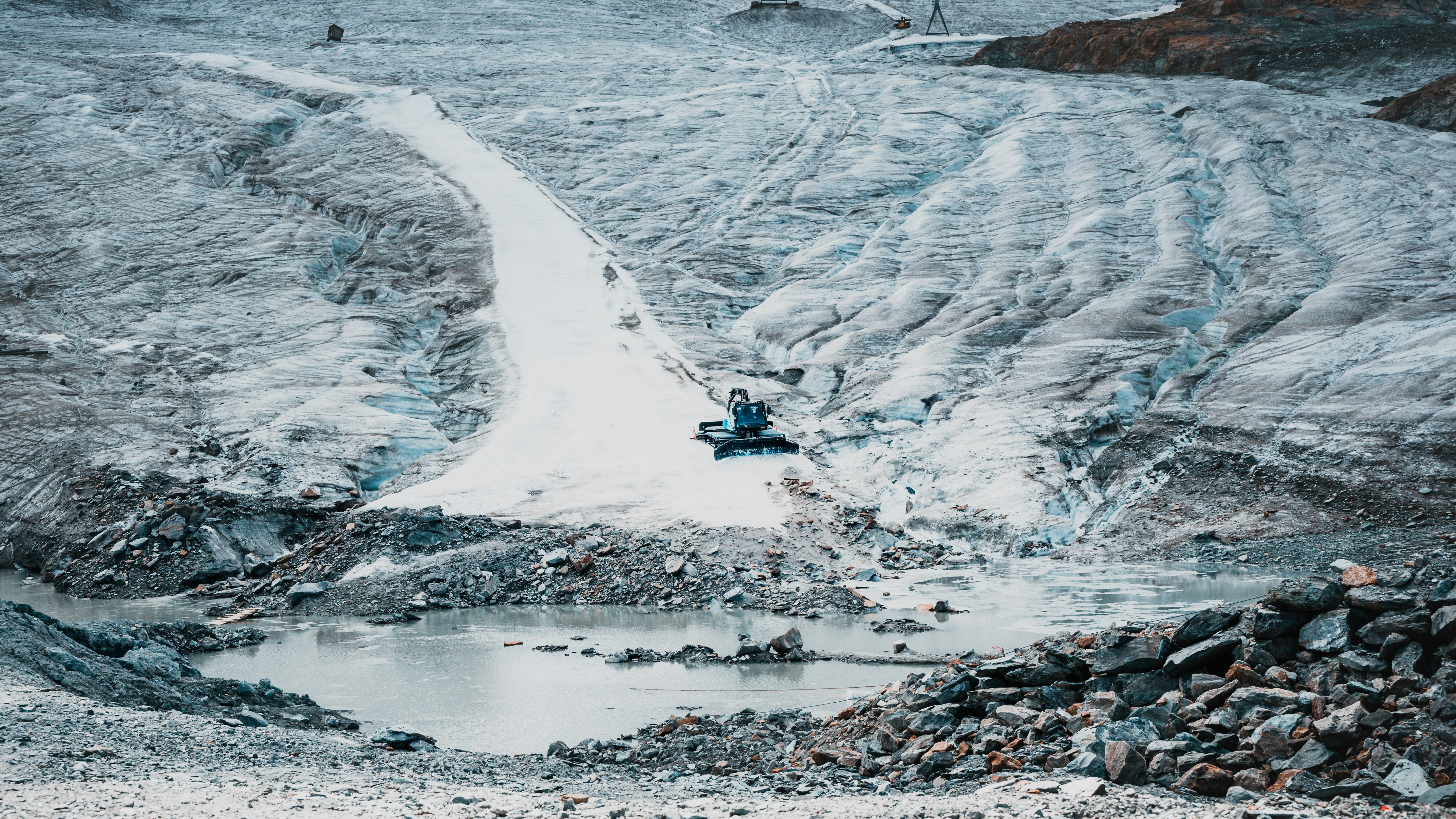 Conservation Challenges and Ethical Considerations (image credits: unsplash)