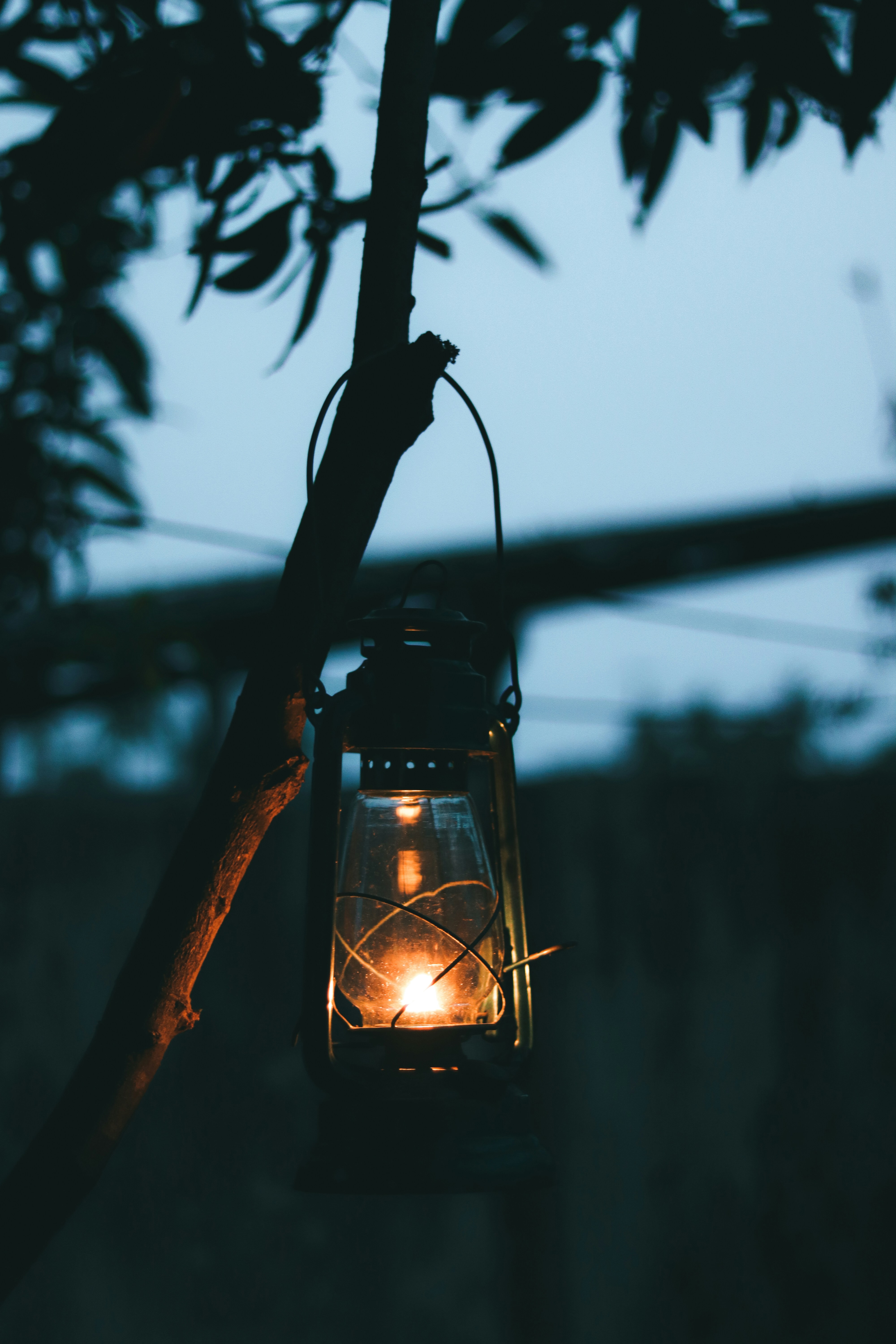 Photo by dhilipantony