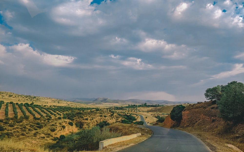 a road going through a grassy area