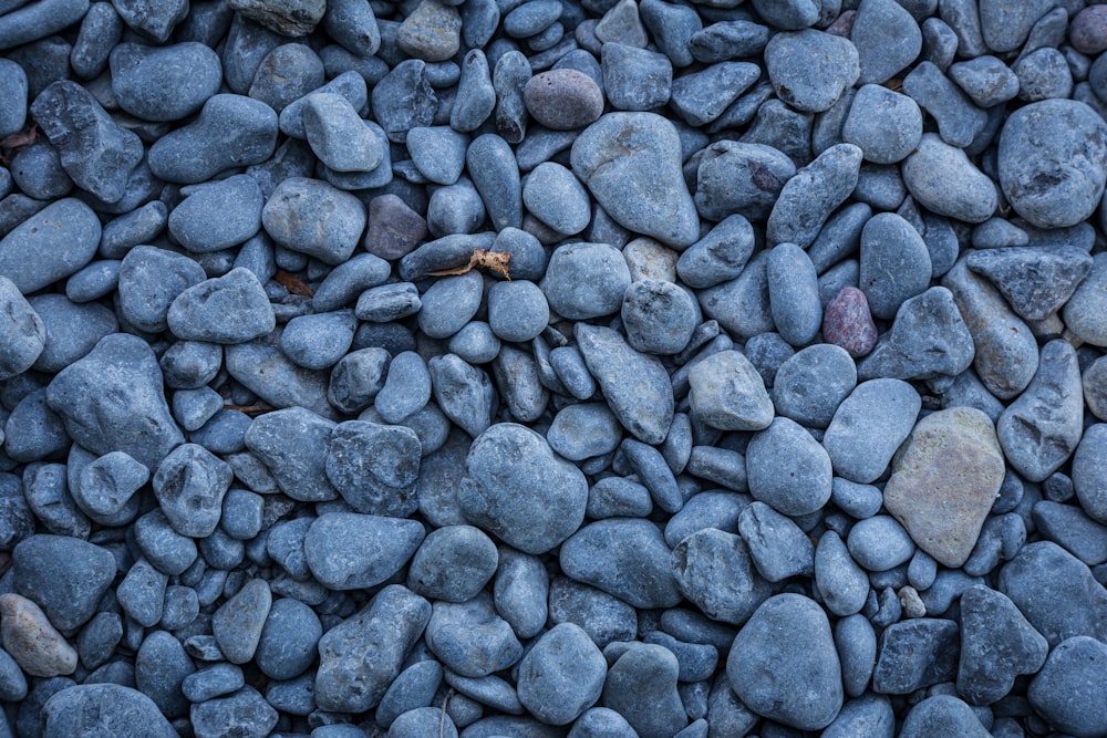 a large group of rocks