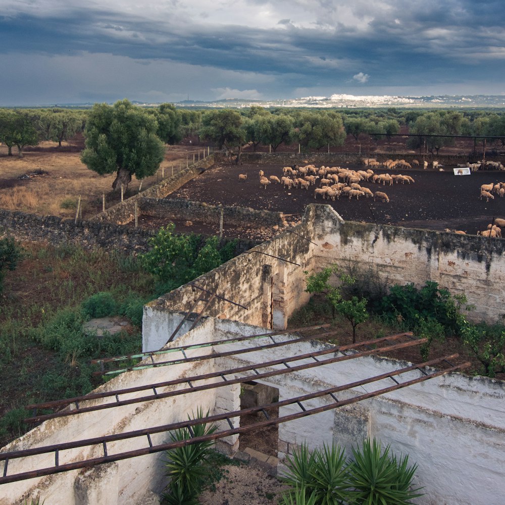 a high angle view of a dam