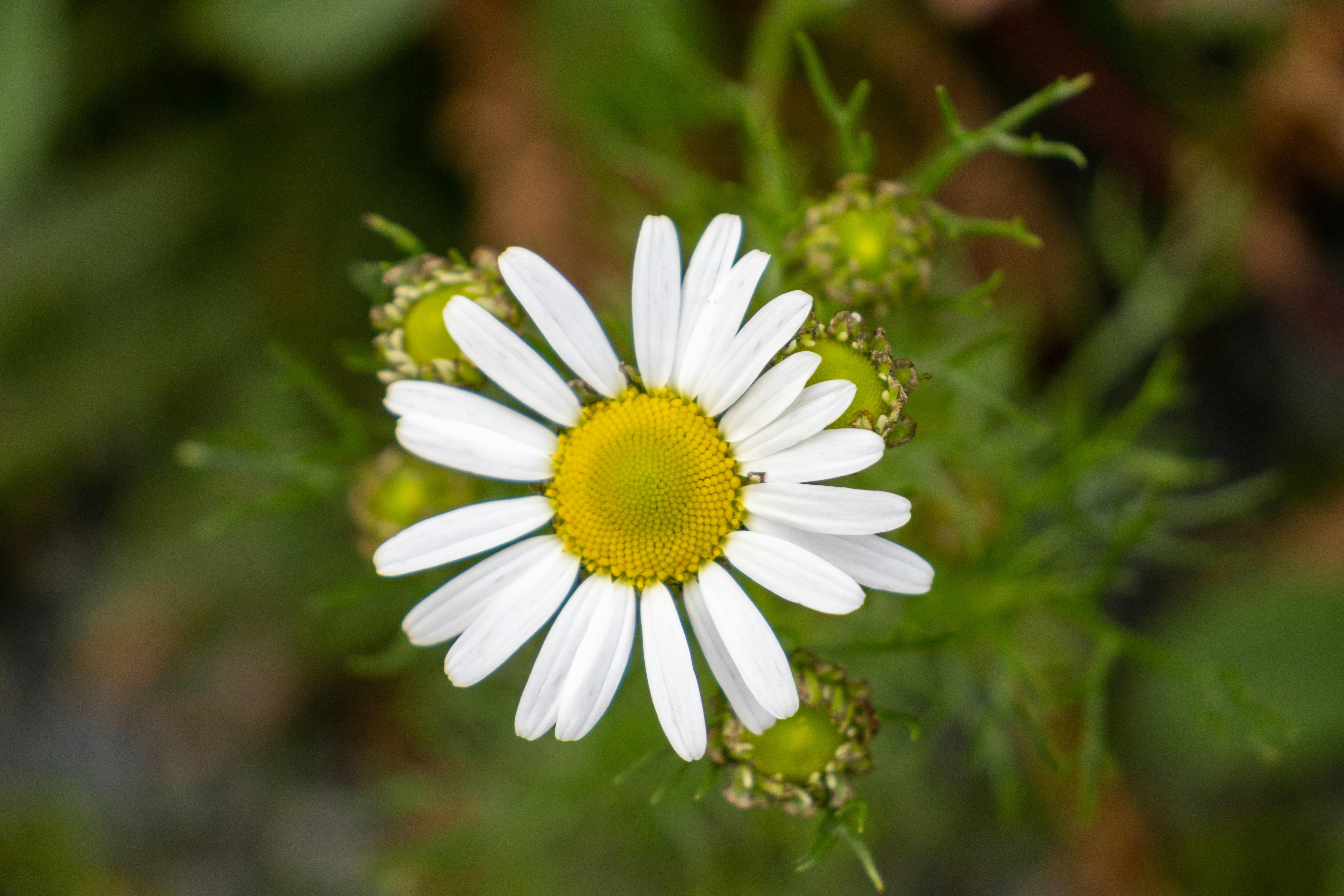 Photo by pokornymichal