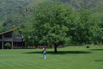 A person stands on a well-maintained green lawn near a large, leafy tree. In the background, there is a building with a dark wooden exterior and a sloped roof. The scene is set against a backdrop of lush, green hills.