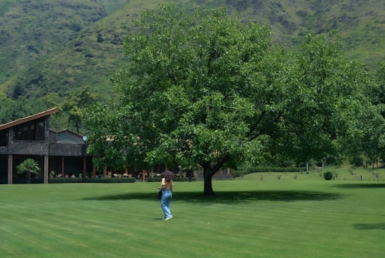 A person stands on a well-maintained green lawn near a large, leafy tree. In the background, there is a building with a dark wooden exterior and a sloped roof. The scene is set against a backdrop of lush, green hills.