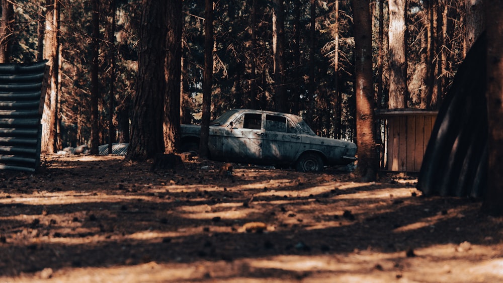 a car parked in a wooded area