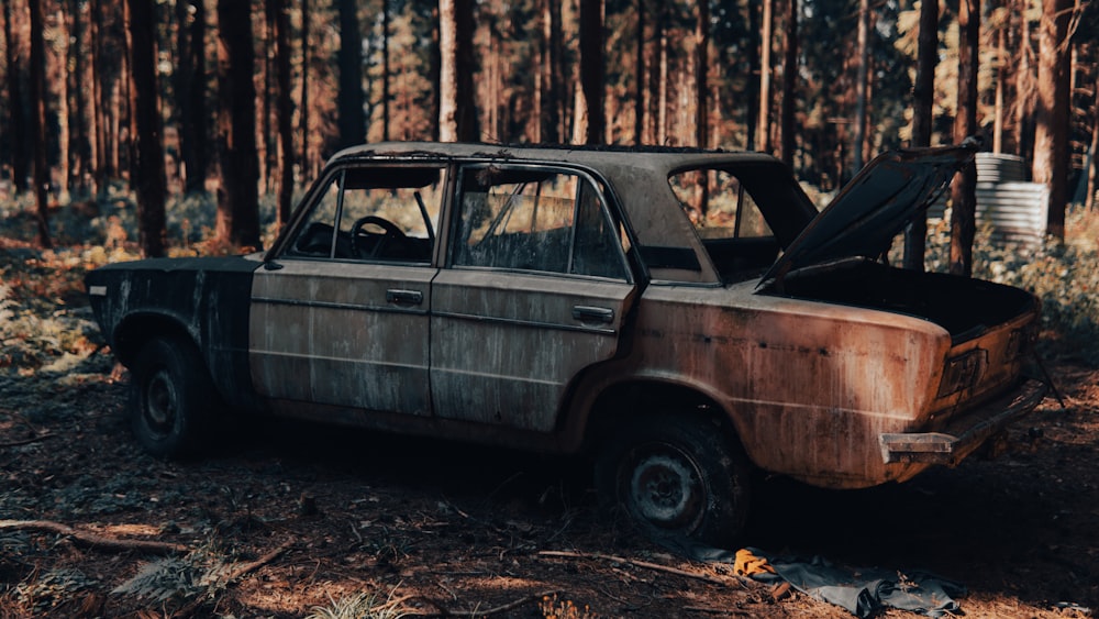 a car with the hood up in the woods