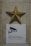A metallic golden star is mounted above a sign featuring a camera icon and text in both Russian and English about video surveillance for security purposes. The background consists of a stone or marble wall with a textured appearance.