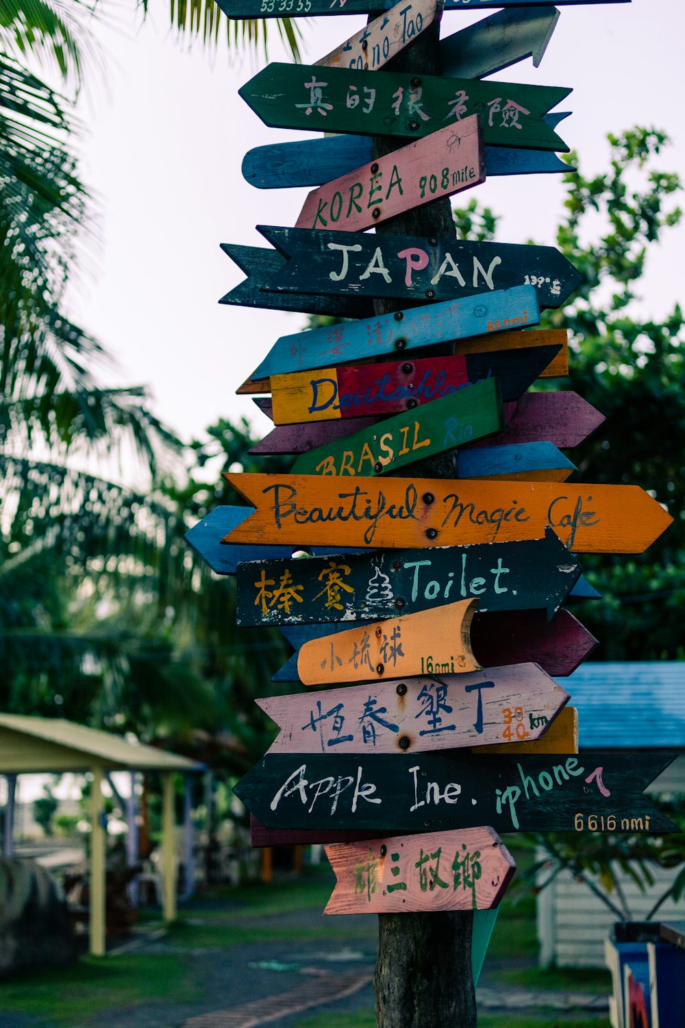 a sign hanging from a tree