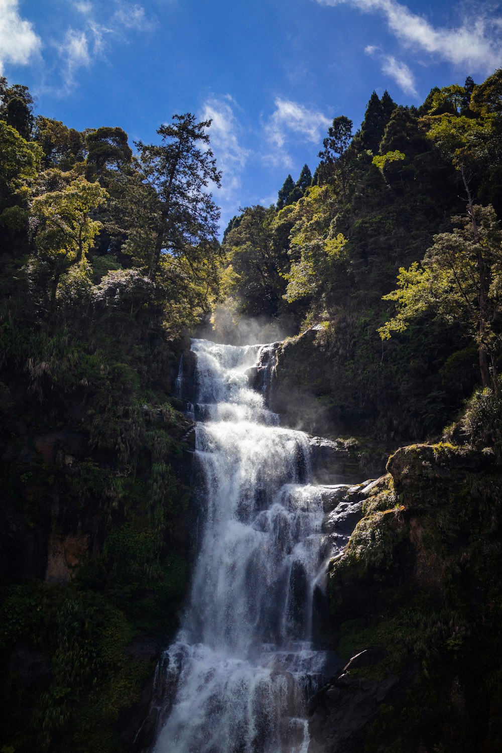 a waterfall in a forest