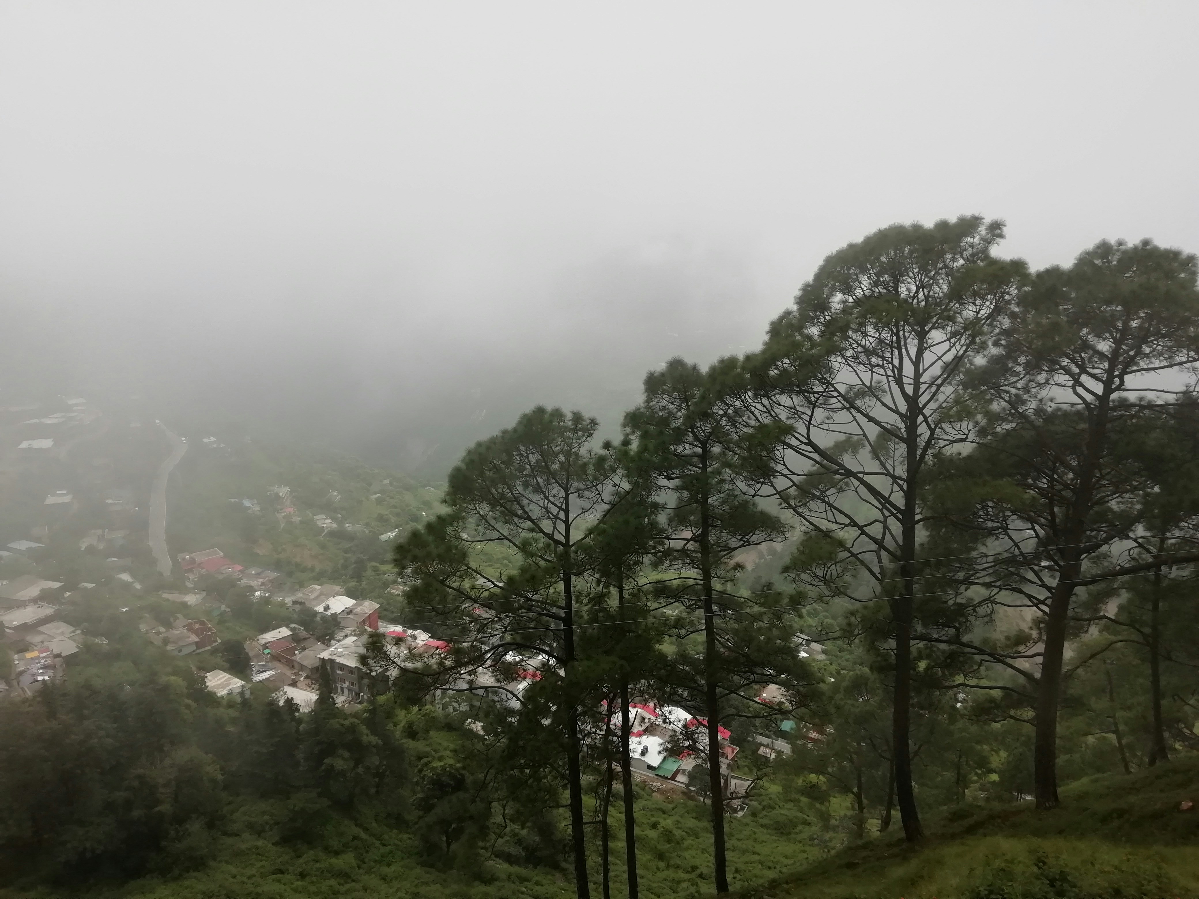 Photo by dcloudsolutions