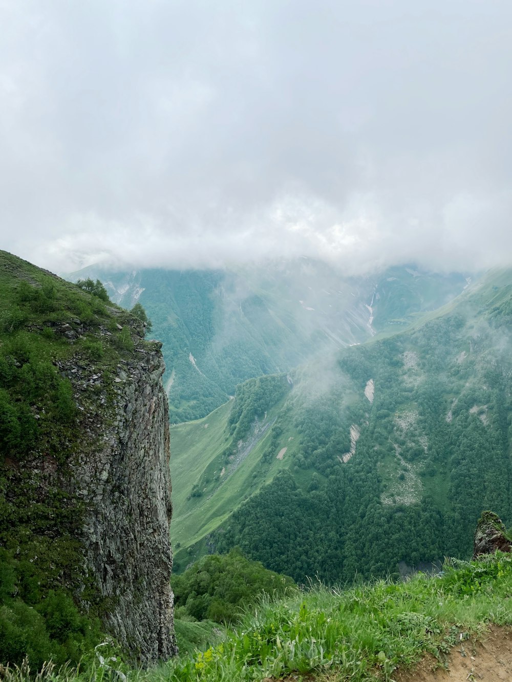 um vale com árvores e montanhas