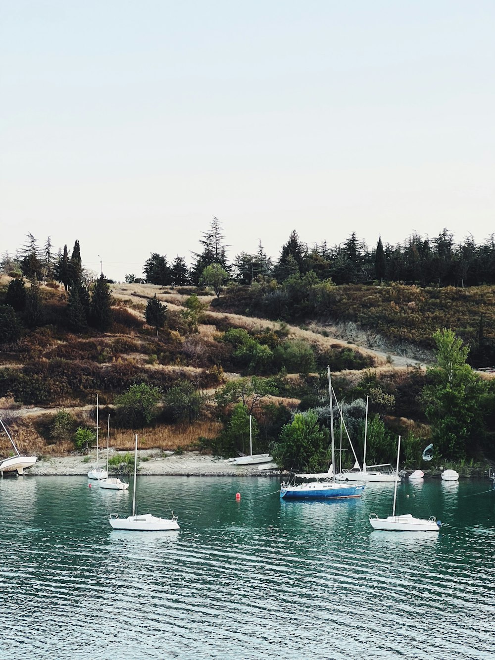 a group of boats on a lake