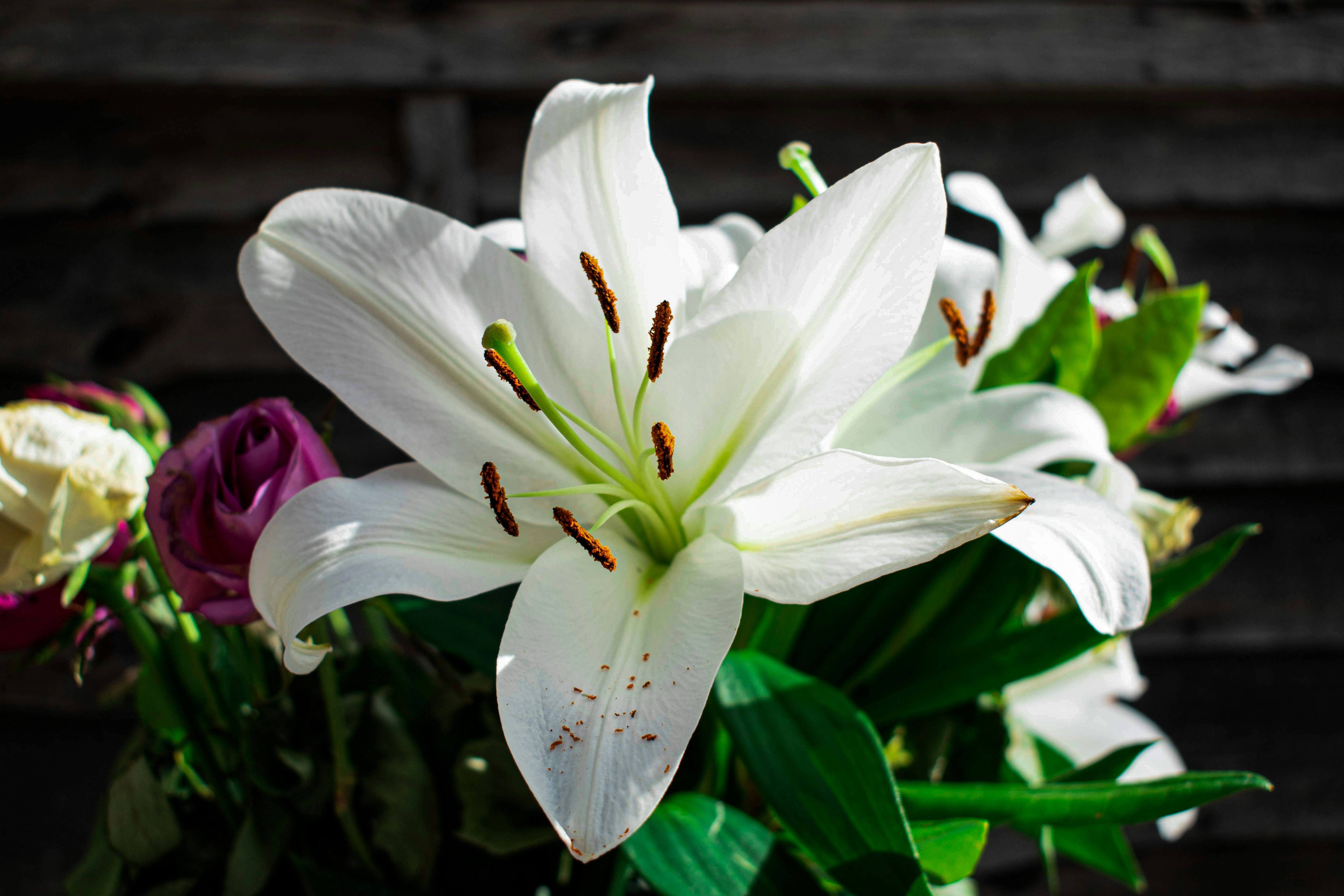 Photo by infinitecreations21