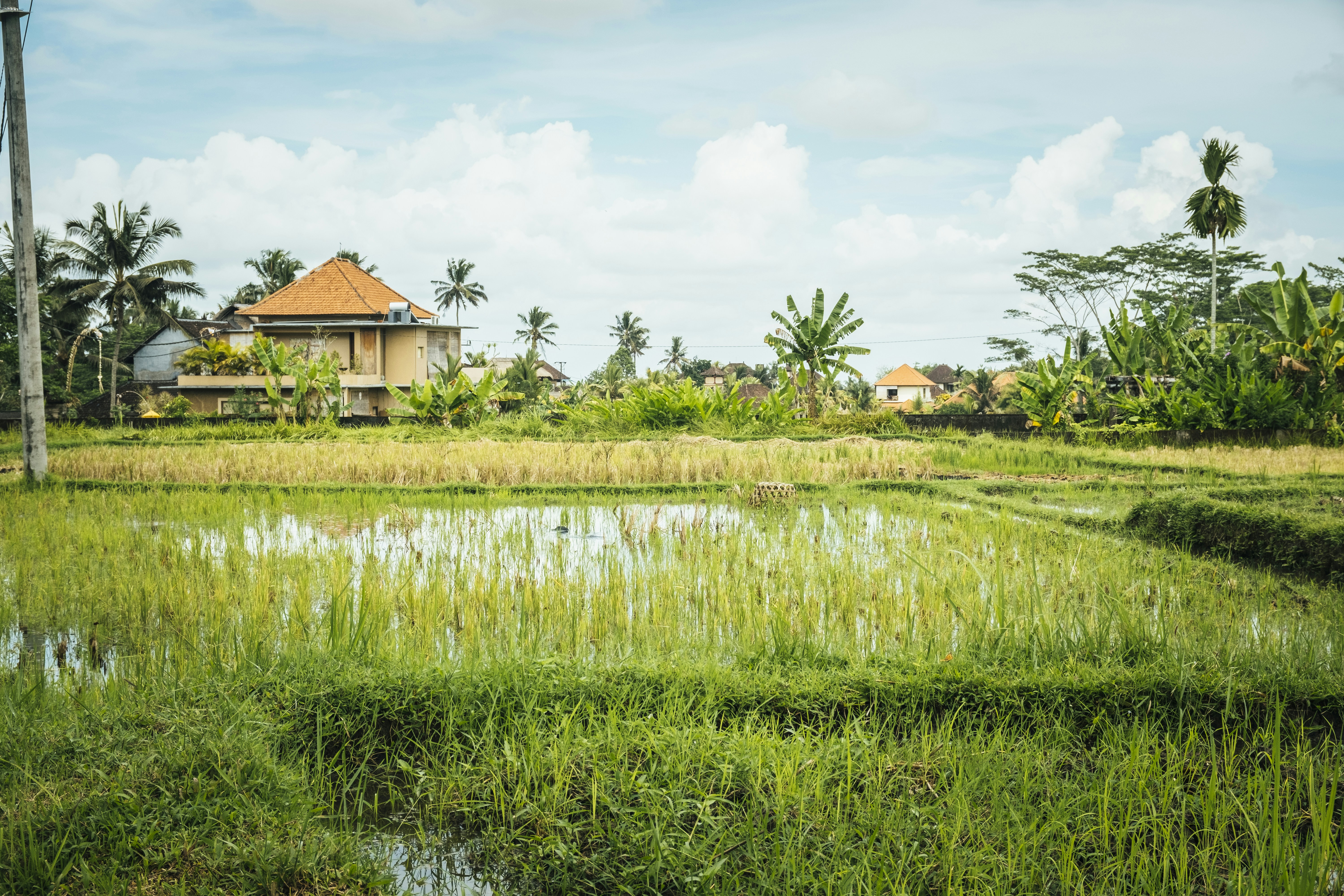 Photo by bernardhermant