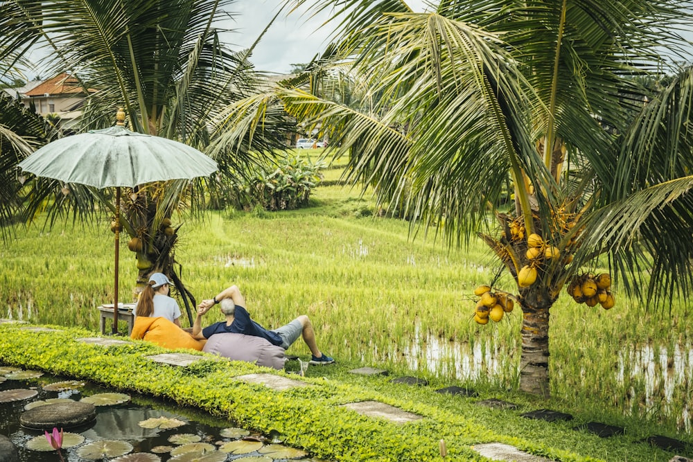 a couple of people sit under an umbrella in a tropical area