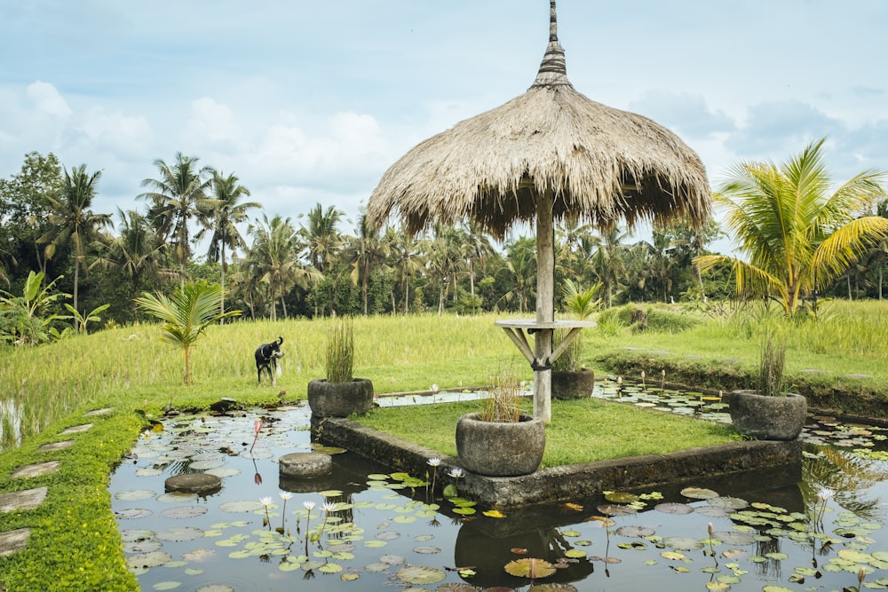 a pond with a grass hut