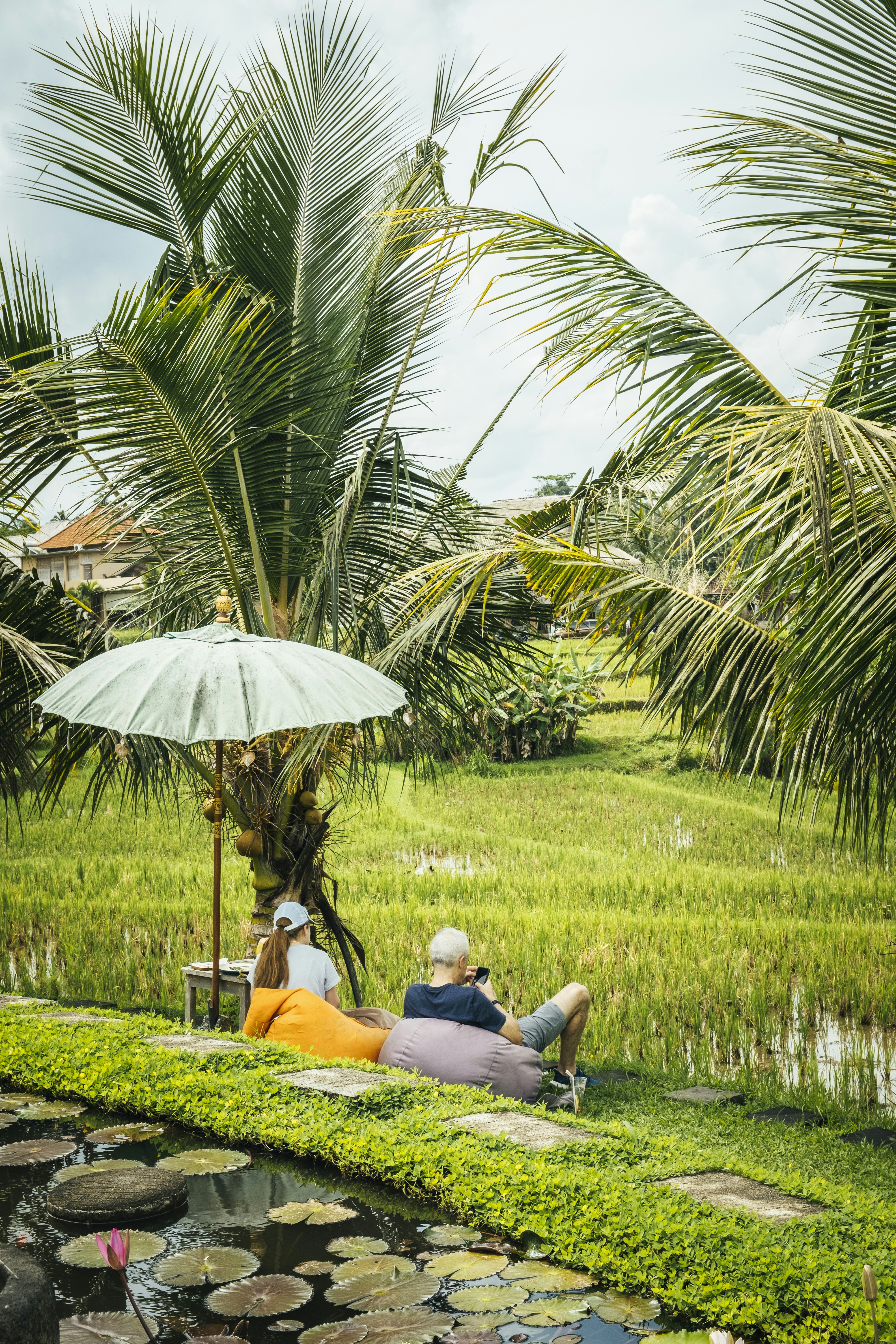 Orang-orang yang duduk di bawah pohon