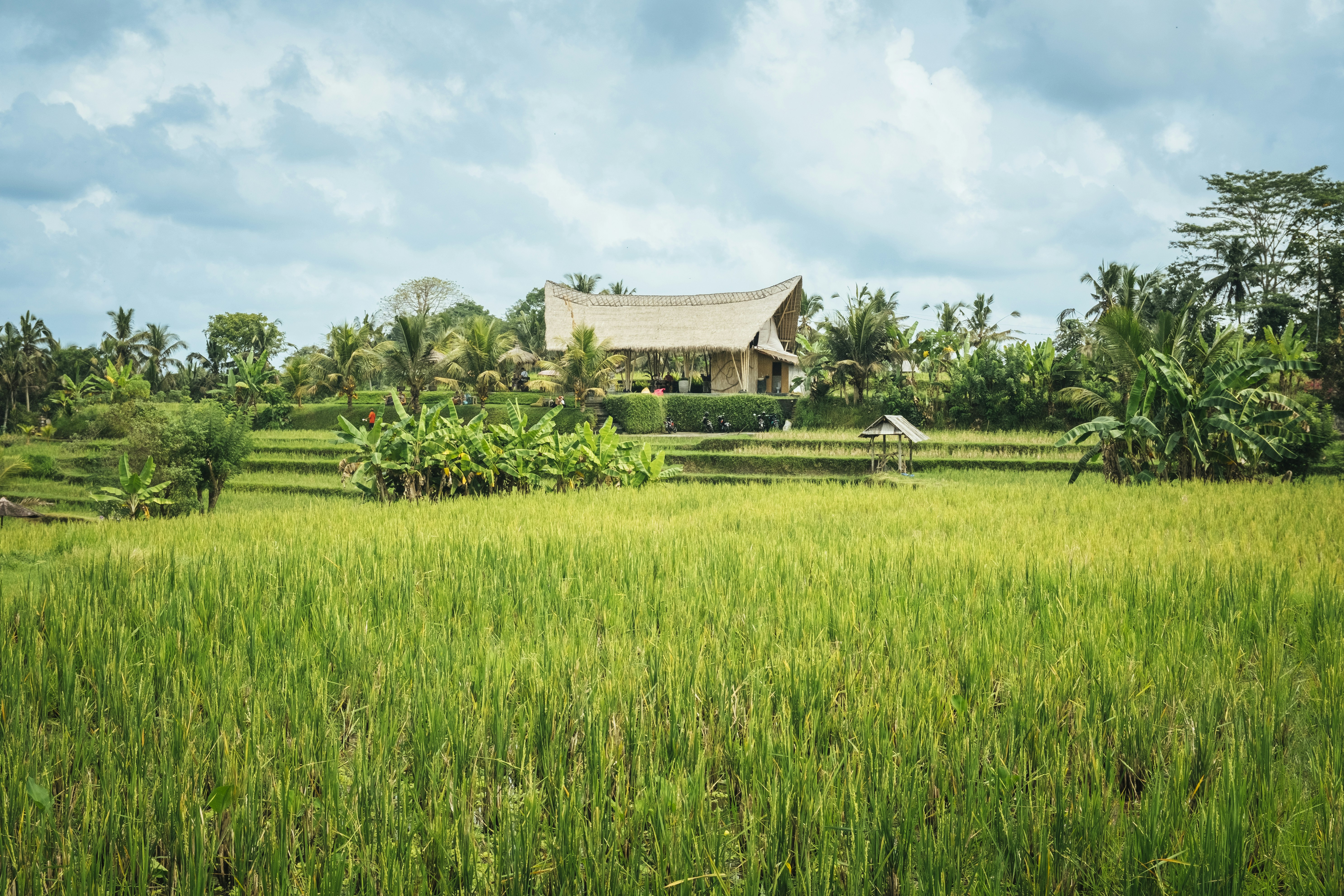 Photo by bernardhermant