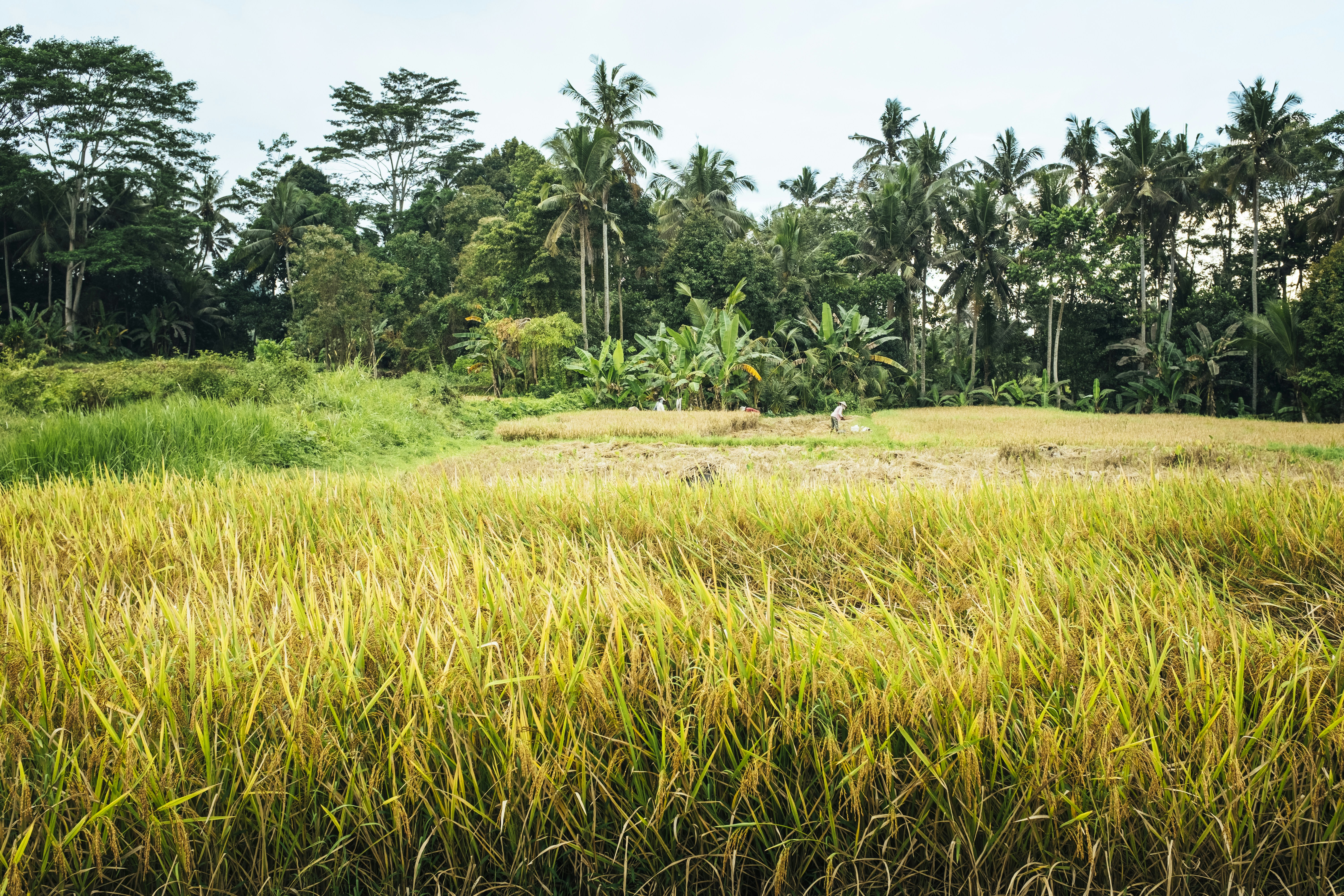 Photo by bernardhermant