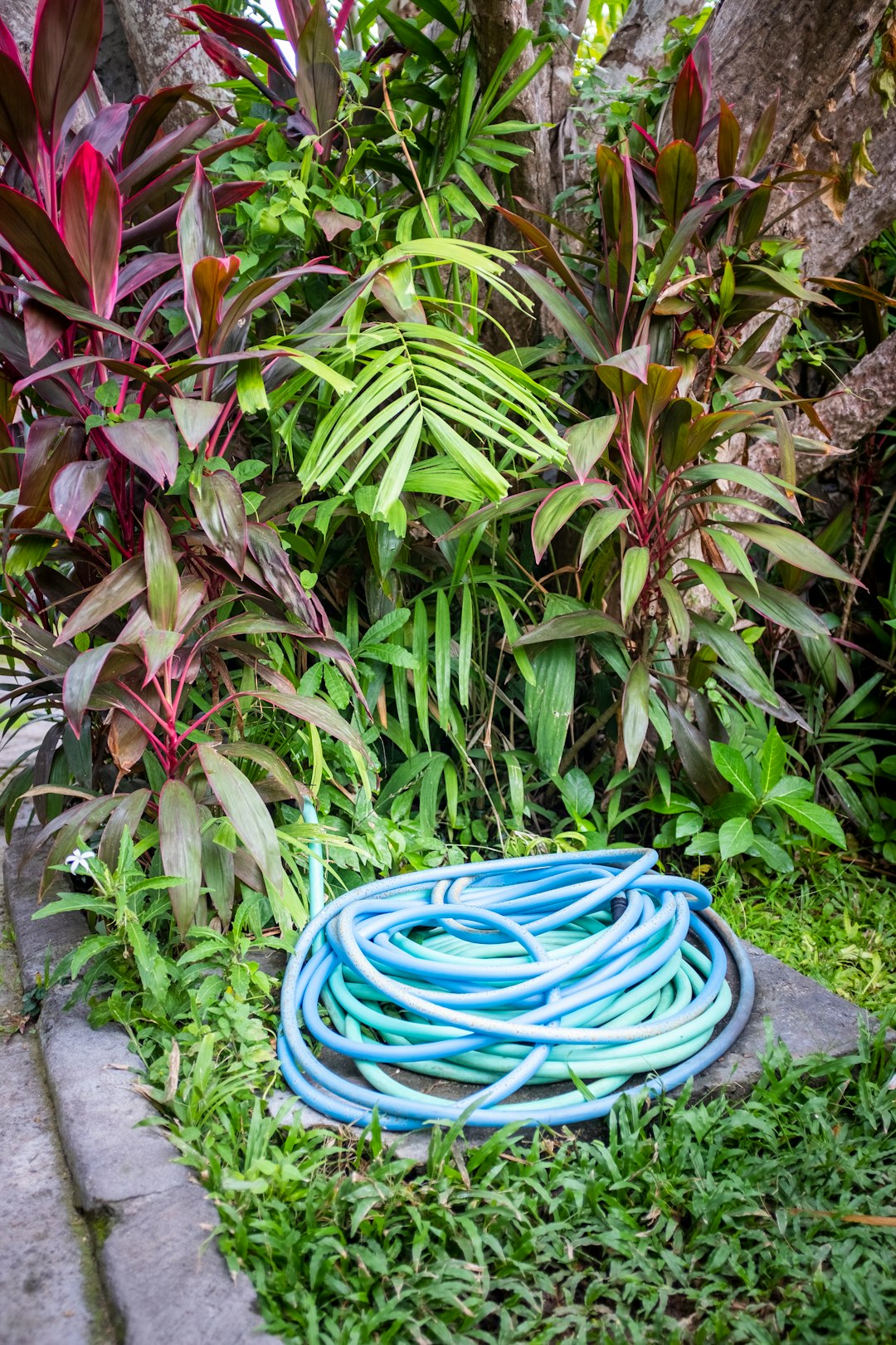 Landscape photo spot Ubud Bali