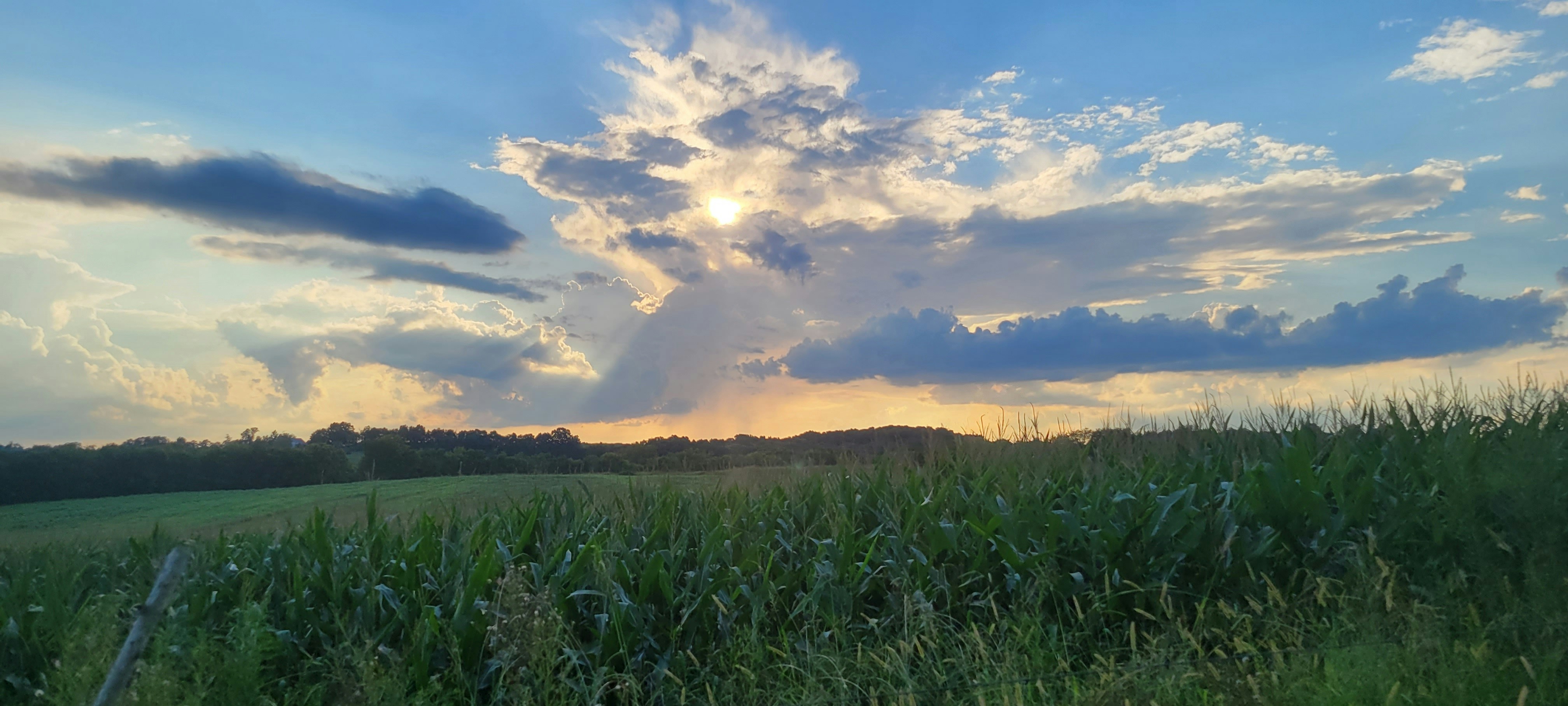 Photo by sierra_williams00