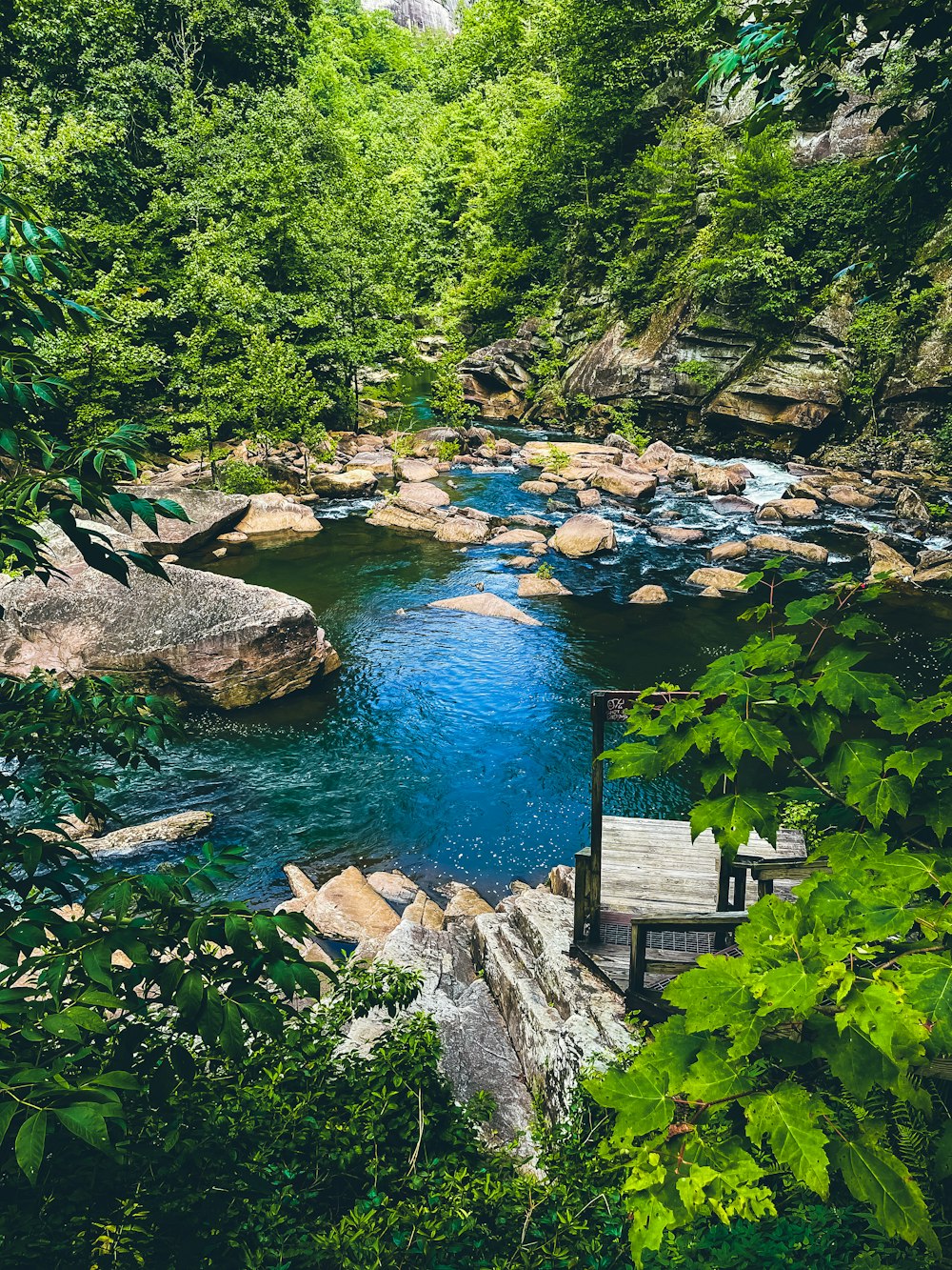 Un río con rocas y árboles