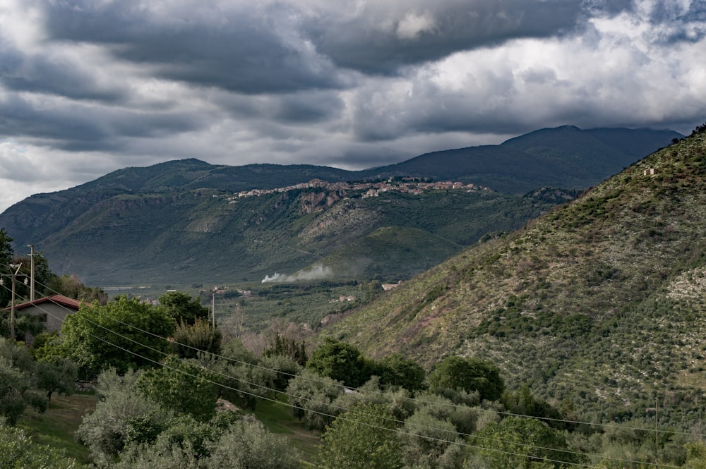 un paesaggio con alberi e colline