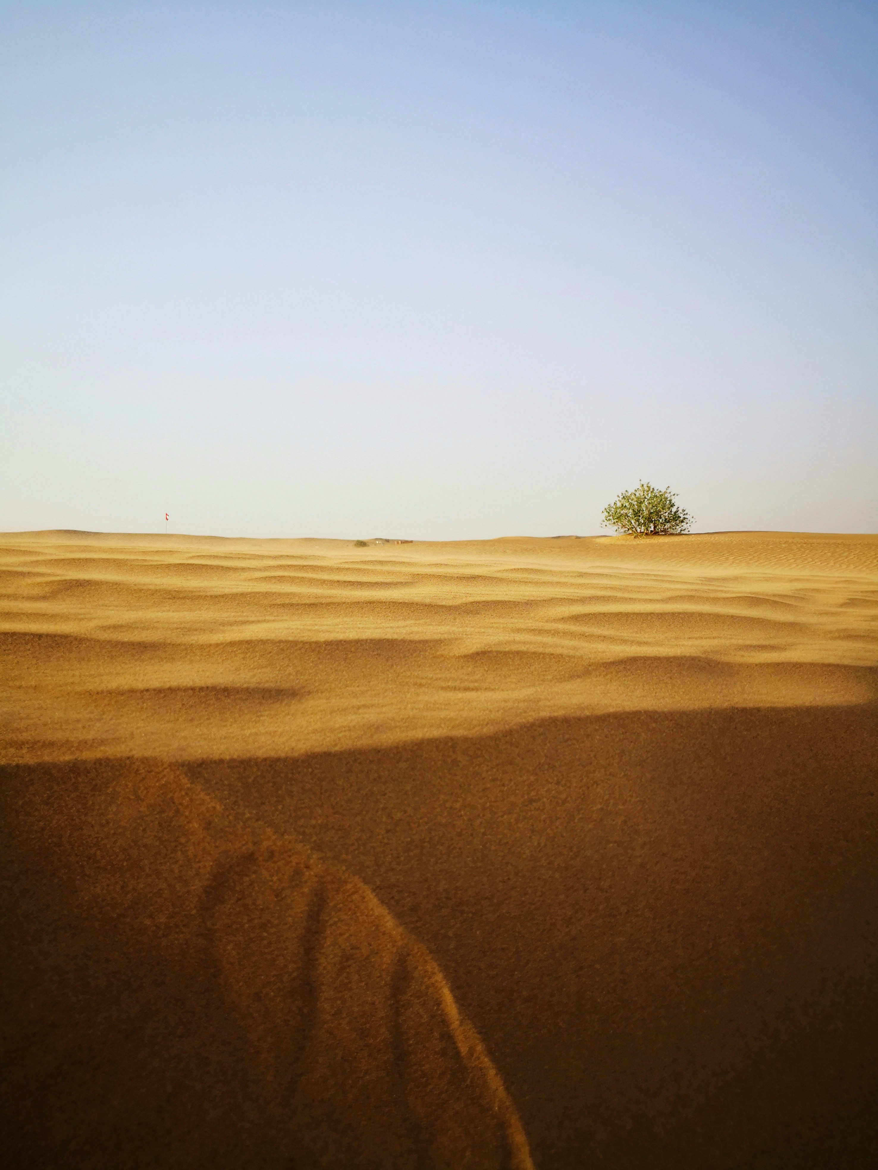 UAE desert