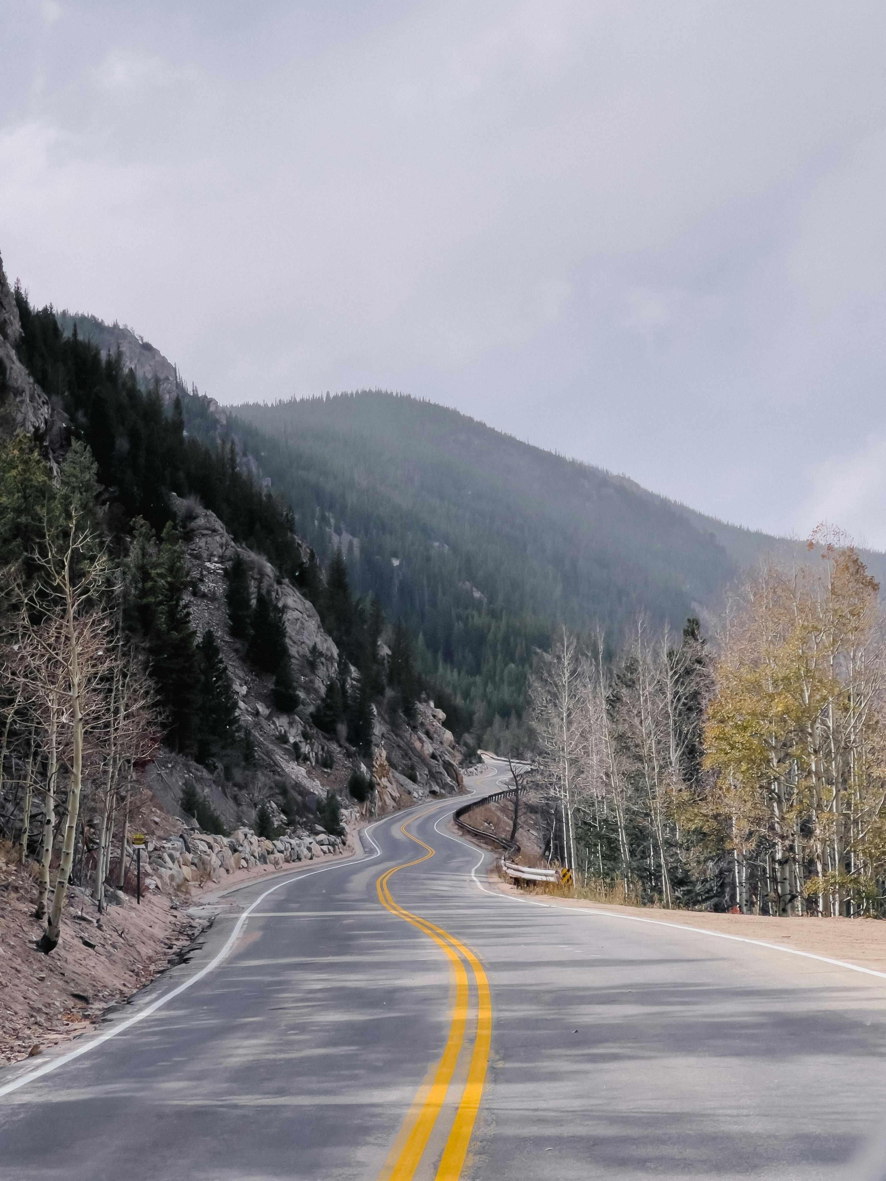 a road with trees on the side