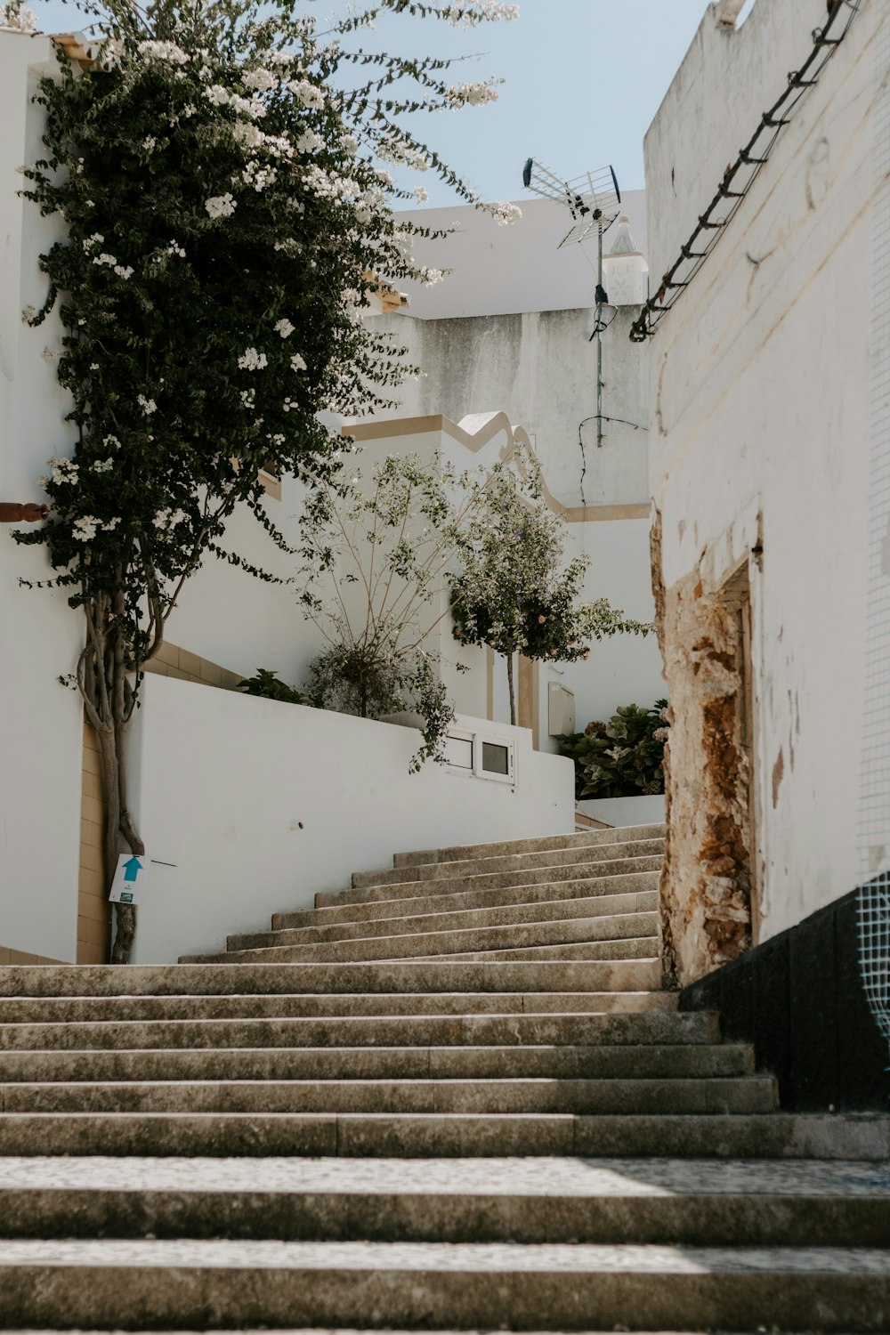 a staircase leading up to a building