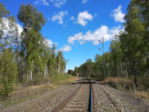 A construction crew working on a railway track surrounded by lush greenery under a clear sky.