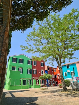 A quaint street scene featuring brightly colored houses in green, red, and blue. A leafy tree provides shade over a paved courtyard area. The sky is clear and blue, enhancing the vibrant colors of the buildings. Flower pots and small shrubs add a touch of nature.