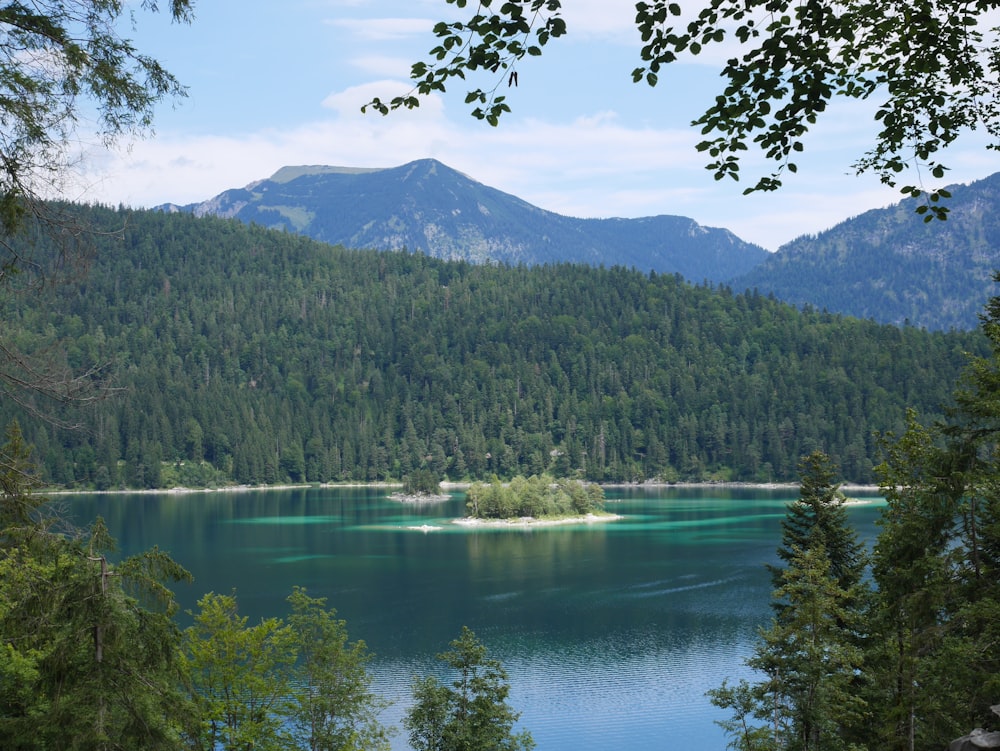 a lake surrounded by trees and mountains