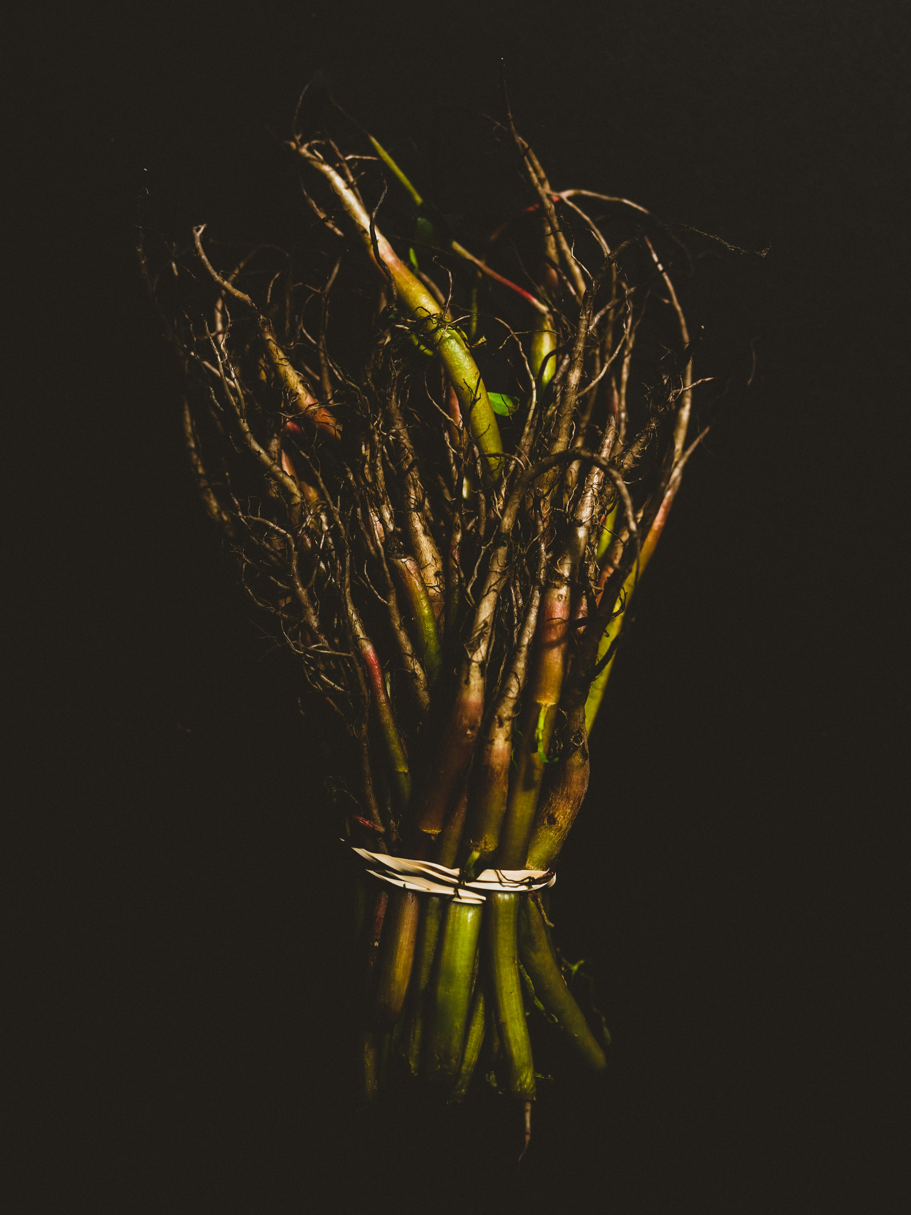 Pop‑Up Bundles That Sell: A Seaside Retailer’s Playbook for Natural Skincare (2026)