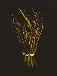 a vase with yellow flowers