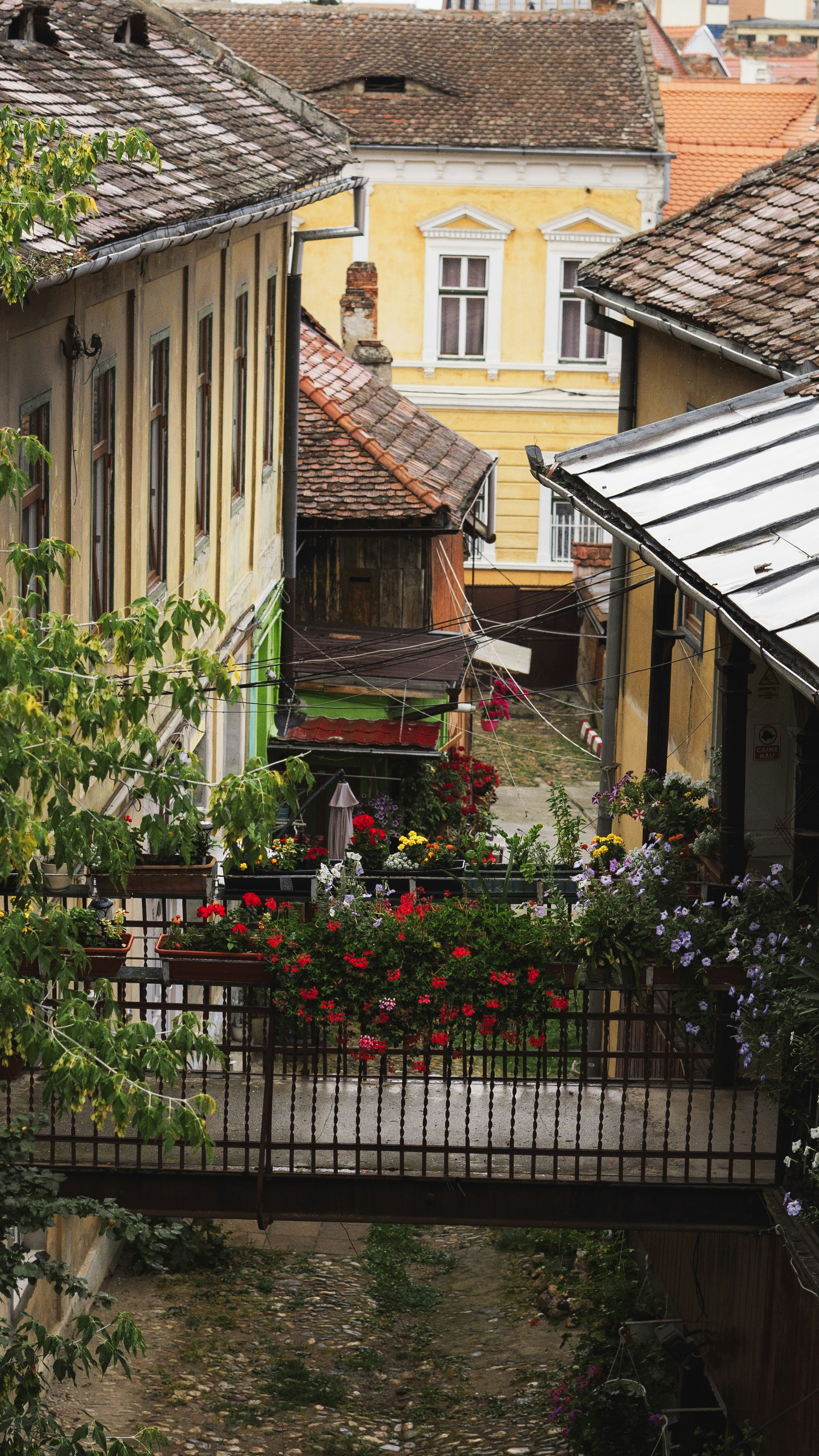 a balcony with flowers and plants on it