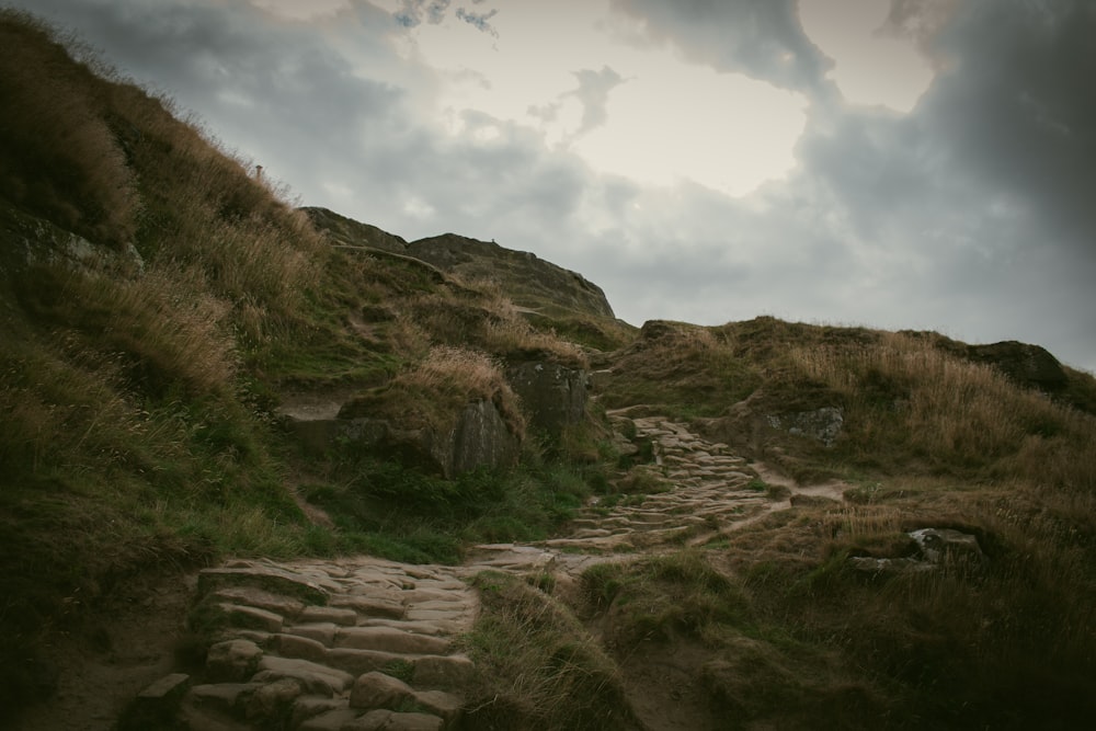 a stone path in a grassy area