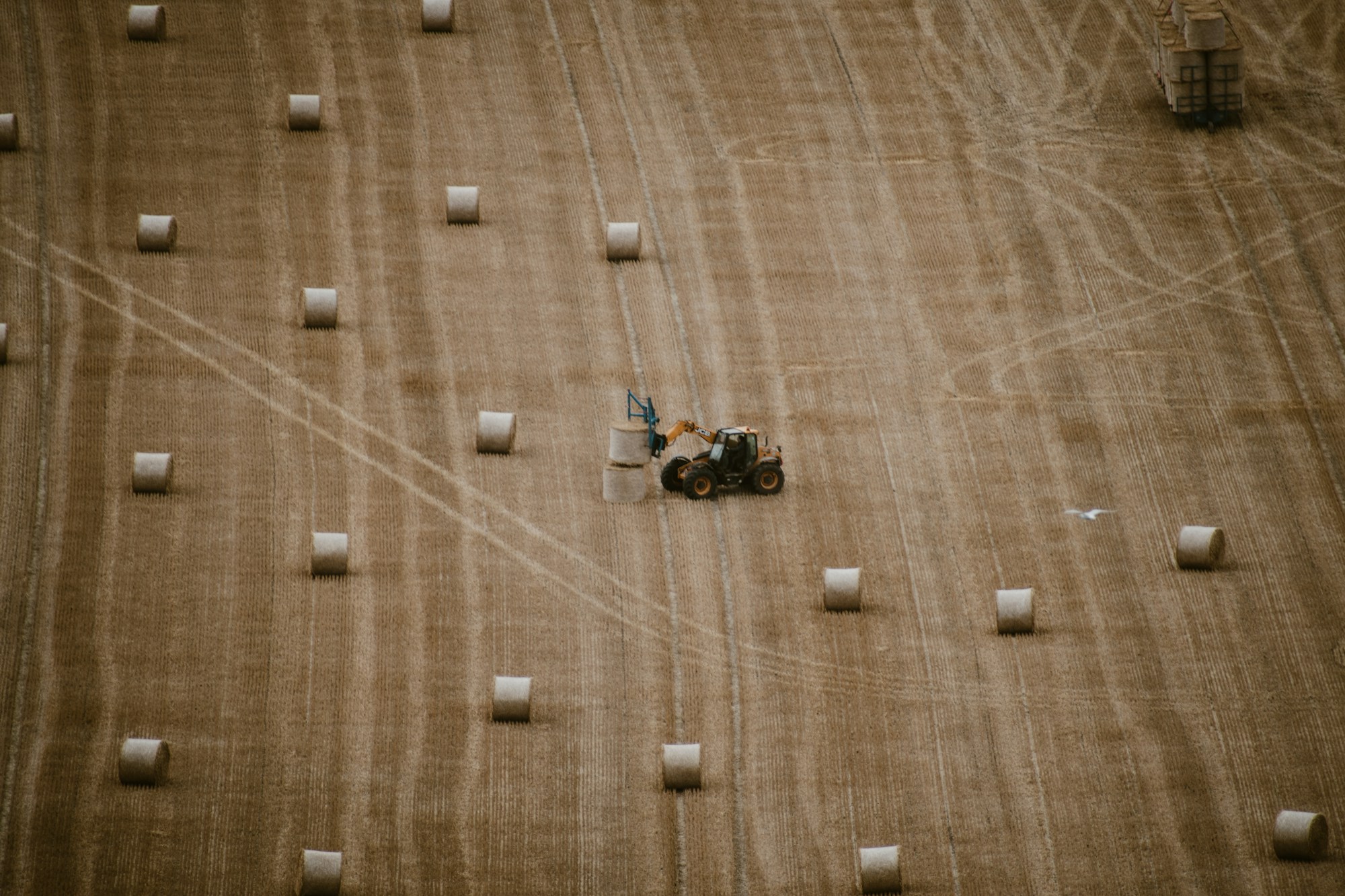 AI and Climate: How Partnerships Drive Agricultural Innovation